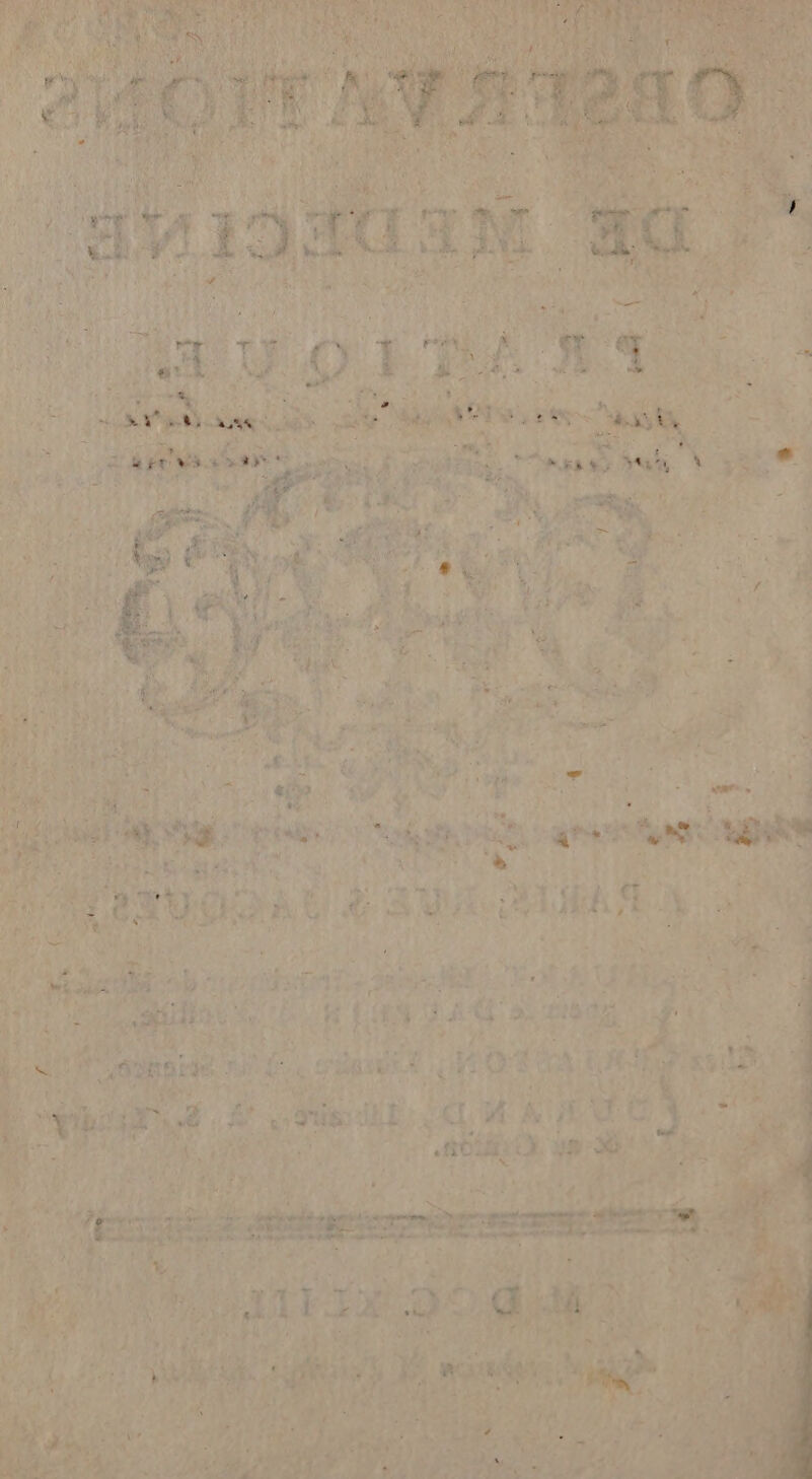 ne Haies ‘if SEM % F3 ae A nee rl EAN: 144 a L: EN ts che ROLE ’ | nd +