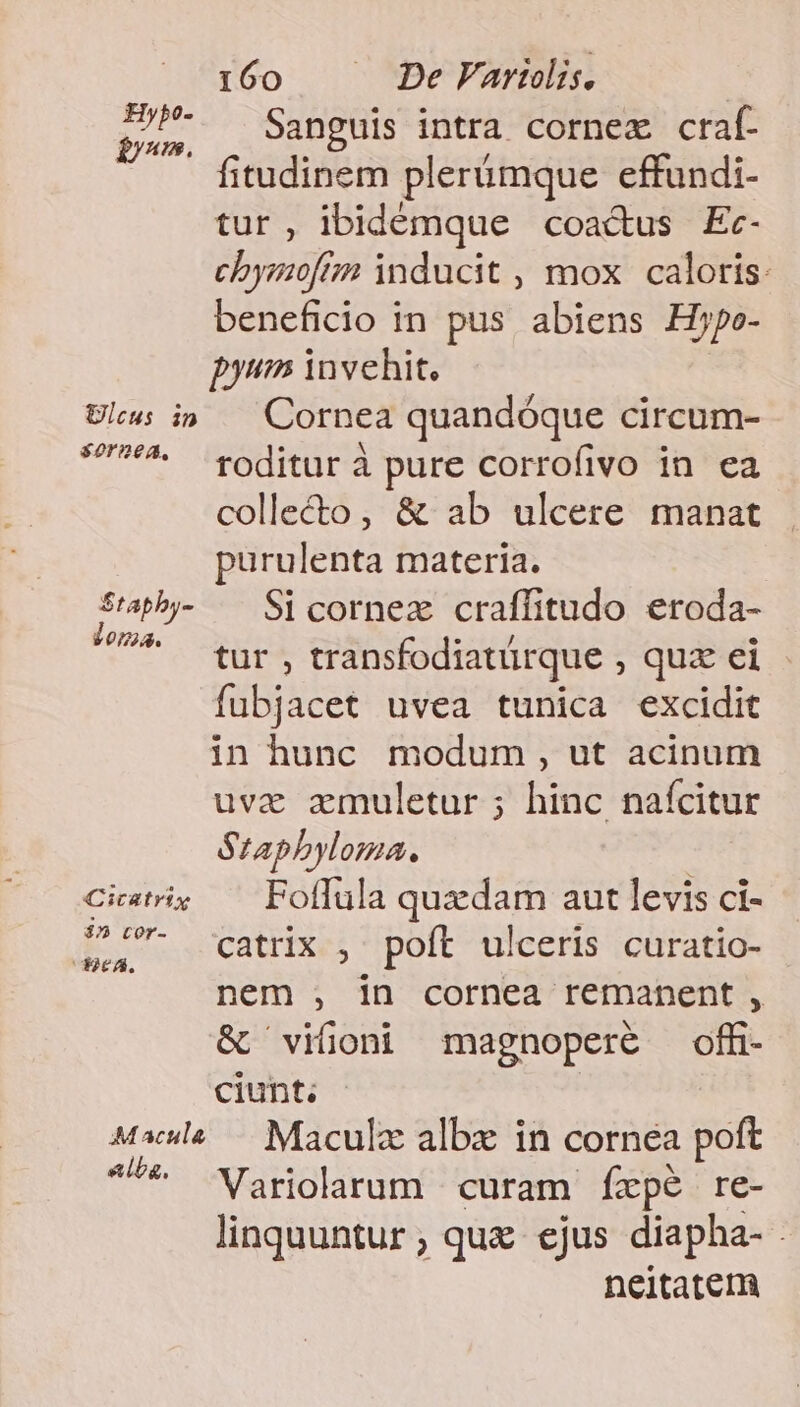 i160 — DeFarielis. Sanguis intra cornezx craf-  fitudinem plerümque effundi- tur, ibidémque coactus Ec- chymofrn inducit , mox | caloris: beneficio in pus abiens Hjpo- pyum invehit. Elcus ip Cornea quandóque circum- UP ^ roditur à pure corrofivo in ea collecto, &amp; ab ulcere manat purulenta materia. Tiu Si cornez craffitudo eroda- (7o tur , transfodiatürque , quz ei fubjacet uvea tunica excidit in hunc modum , ut acinum uva azmuletur ; hinc naícitur Szapbyloma. Cictis — Foffula quedam aut levis ci- axa- catüx , poft ulceris curatio- nem , in cornea remanent , &amp; vifioni magnopere offi ciunt. Maule — Maculz albzx in cornea poft ^^^ Wariolarum curam fíxpé re- linquuntur ; qua ejus diapha- : neitatem Hy fa Éynm