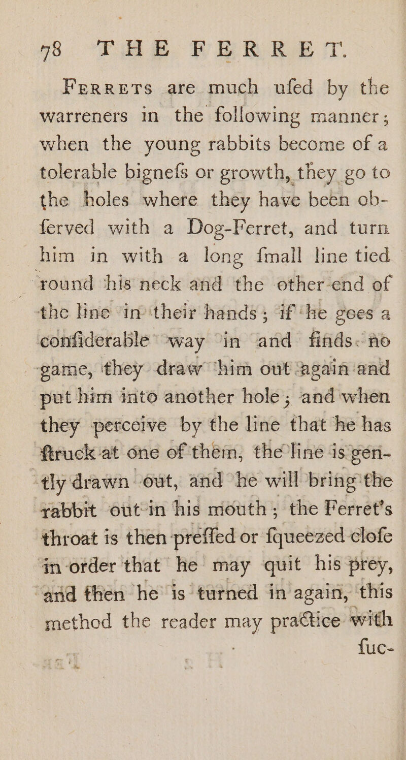 Ferrets are much ufed by the warreners in the following manner; when the young rabbits become of a tolerable bignefs or growth, they go to the holes where they have been ob- ferved with a Dog-Ferret, and turn him in with a long {mall line tied ‘round this neck and the other end of the line in'their hands; if ‘he gees a confiderable way “in and finds< no game, they draw him out ‘again ‘and put him into another hole; and when they perceive by the line that he has ftruck at one of them, the line is gen- tly drawn “out, and “he will bring the rabbit out in his mouth; the Ferret's throat is then preffed or fqueezed clofe inorder that he may quit his prey, ‘and then he is turned in again, this method the reader may practice with fuc-