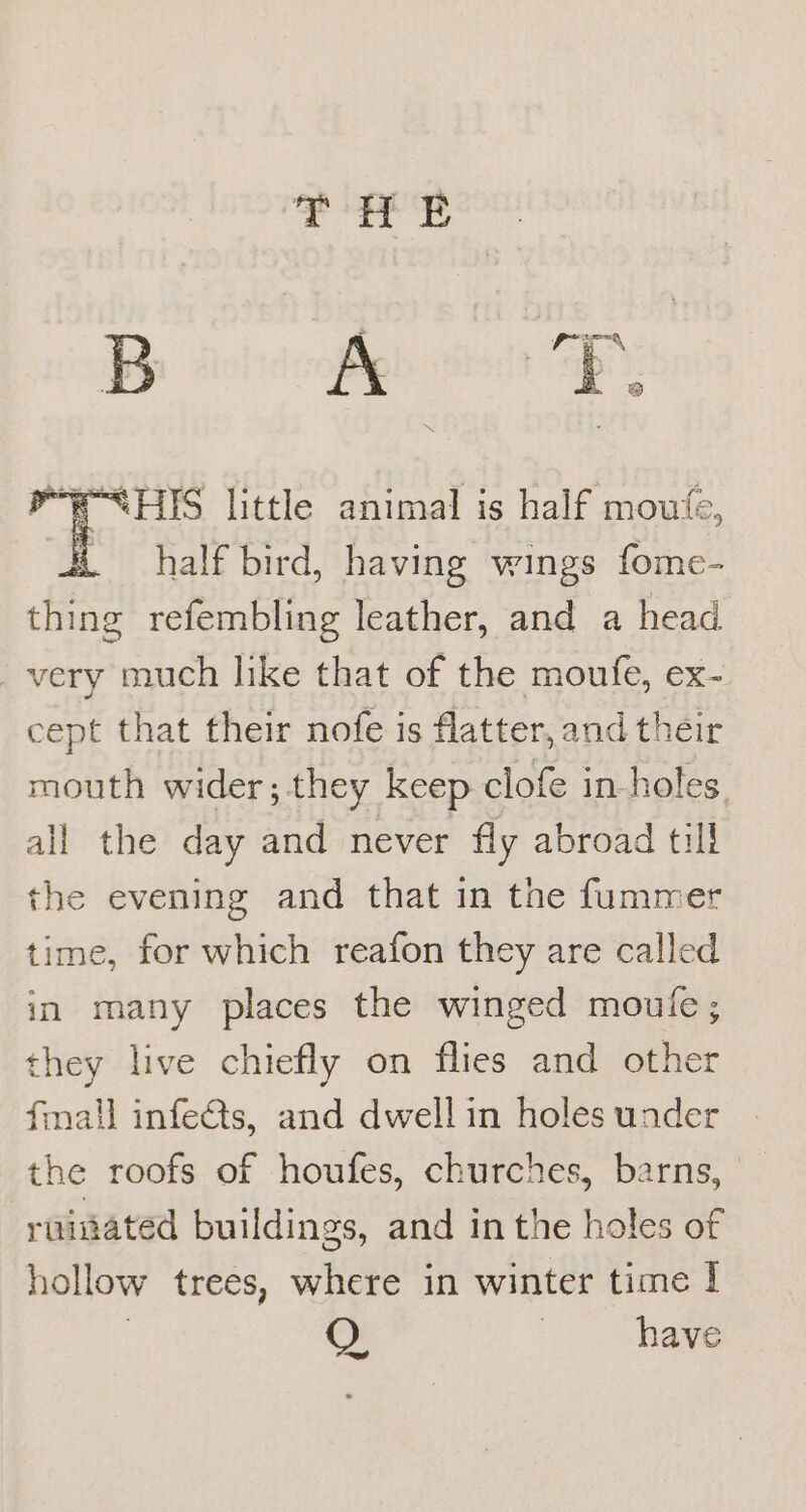Be aisihgh ots AB P-WSHIS little animal is half moute, H half bird, having wings fome- a refembling leather, and a head very much like that of the moufe, ex- cept that their nofe is flatter, and their mouth wider; they keep clofe in-holes. all the day and never fly abroad till the evening and that in the fummer time, for which reafon they are called in many places the winged moule; they live chiefly on flies and other finall infe&amp;ts, and dwell in holes under the roofs of houfes, churches, barns, rainated buildings, and in the holes of hollow trees, where in winter time I QO | have