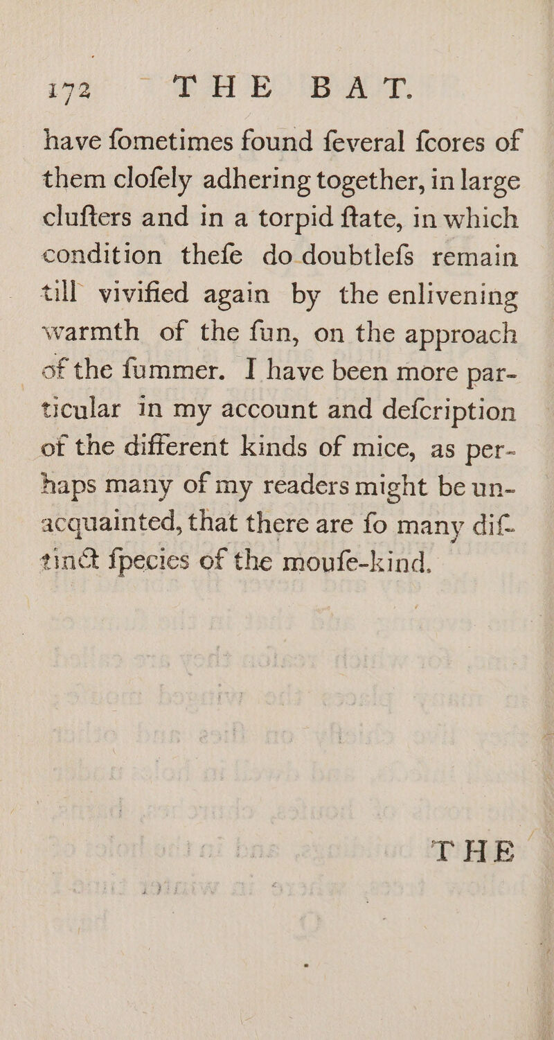 boa MR A BS a Pe, have fometimes found feveral fcores of them clofely adhering together, in large clufters and in a torpid ftate, in which condition thefe do doubtlefs remain till’ vivified again by the enlivening warmth of the fun, on the approach _ of the fummer. I have been more par- ticular in my account and defcription ot the different kinds of mice, as per- haps many of my readers might be un- acquainted, that there are fo many dif tinct fpecies of the moufe-kind. THR: