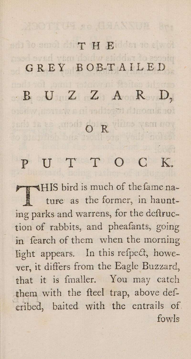 GREY BOB-TAILED sibs cobtinukd dele ecm Beovilll O R lhe SMe mead sees aha Sige HIS bird is much of the fame na- 4 ture as the former, in haunt- ing parks.and warrens, for the deftruc- tion of rabbits, and pheafants, going in fearch of them when the morning light appears. In this refpect, howe- ver, it differs from the Eagle Buzzard, that it is fmaller. You may catch them with the fteel trap, above def- ‘eribed, baited with the entrails of fowls