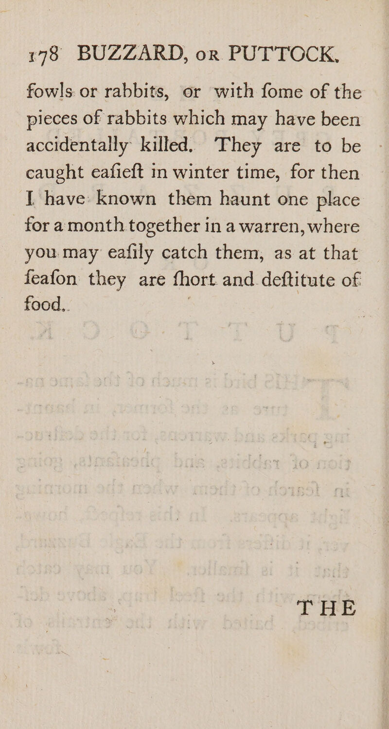 fowls or rabbits, or with fome of the pieces of rabbits which may have been accidentally killed. They are to be caught eafieft in winter time, for then I have known them haunt one place for a month together in a warren, where you may eafily catch them, as at that feafon they are fhort and deftitute of food.. :