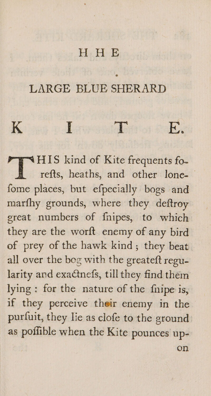 H:H E LARGE BLUE SHERARD K I T Ex HIS kind of Kite frequents fo- re{ts, heaths, and other lone- | fome places, but efpecially bogs and marfhy grounds, where they deftroy great numbers of fnipes, to which they are the worft. enemy of any bird of prey of the hawk kind; they beat all over the bog with the greateft regu- larity and exactnefs, till they find thém lying : for the nature of the fnipe is, if they perceive their enemy in the purfuit, they lie as clofe to the ground as poilible when the Kite pounces up- on