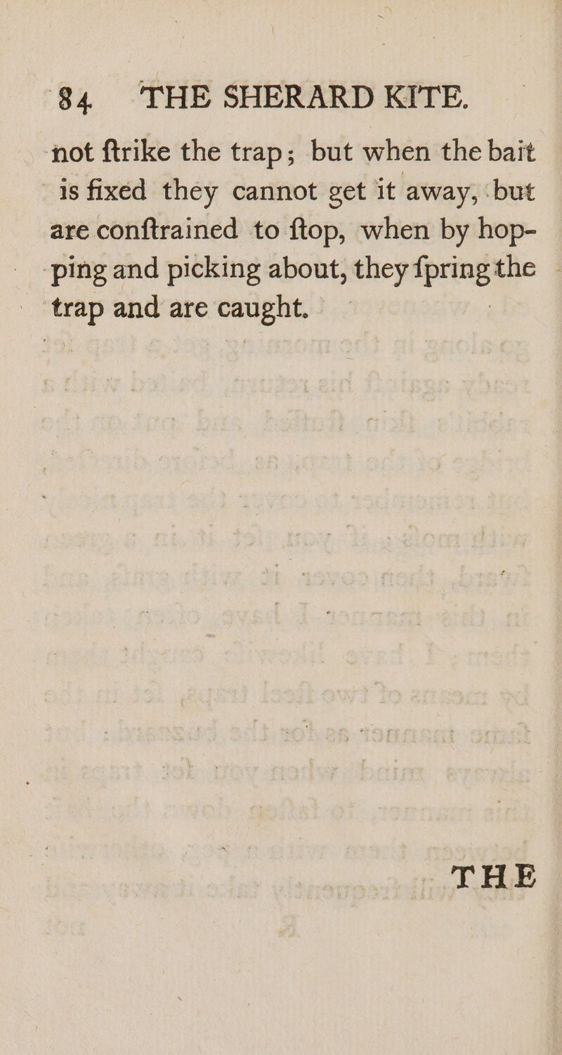 not ftrike the trap; but when the bait is fixed they cannot get it away, but are conftrained to ftop, when by hop- ‘ping and picking about, they APOE the + trap and are wii