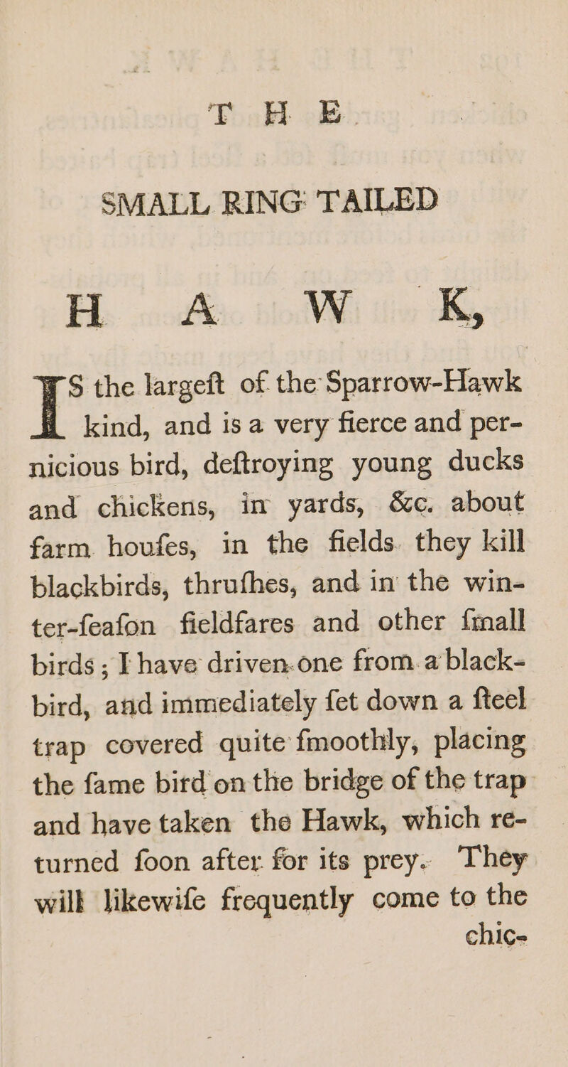a ae ee oN SMALL RING: TAILED Bs swodfic blodVMhi ith Ty S the largeft of the Sparrow-Hawk kind, and is a very fierce and per- nicious bird, deftroying young ducks and chickens, im yards, &amp;c. about farm. houfes, in the fields. they kill blackbirds, thrufhes, and in the win- ter-feafon fieldfares and other {mall birds ; I have driven.one from. a black- bird, aud immediately fet down a fteel trap covered quite fmoothly, placing the fame bird on the bridge of the trap and have taken the Hawk, which re- turned foon after for its prey. They will likewife frequently come to the chice-