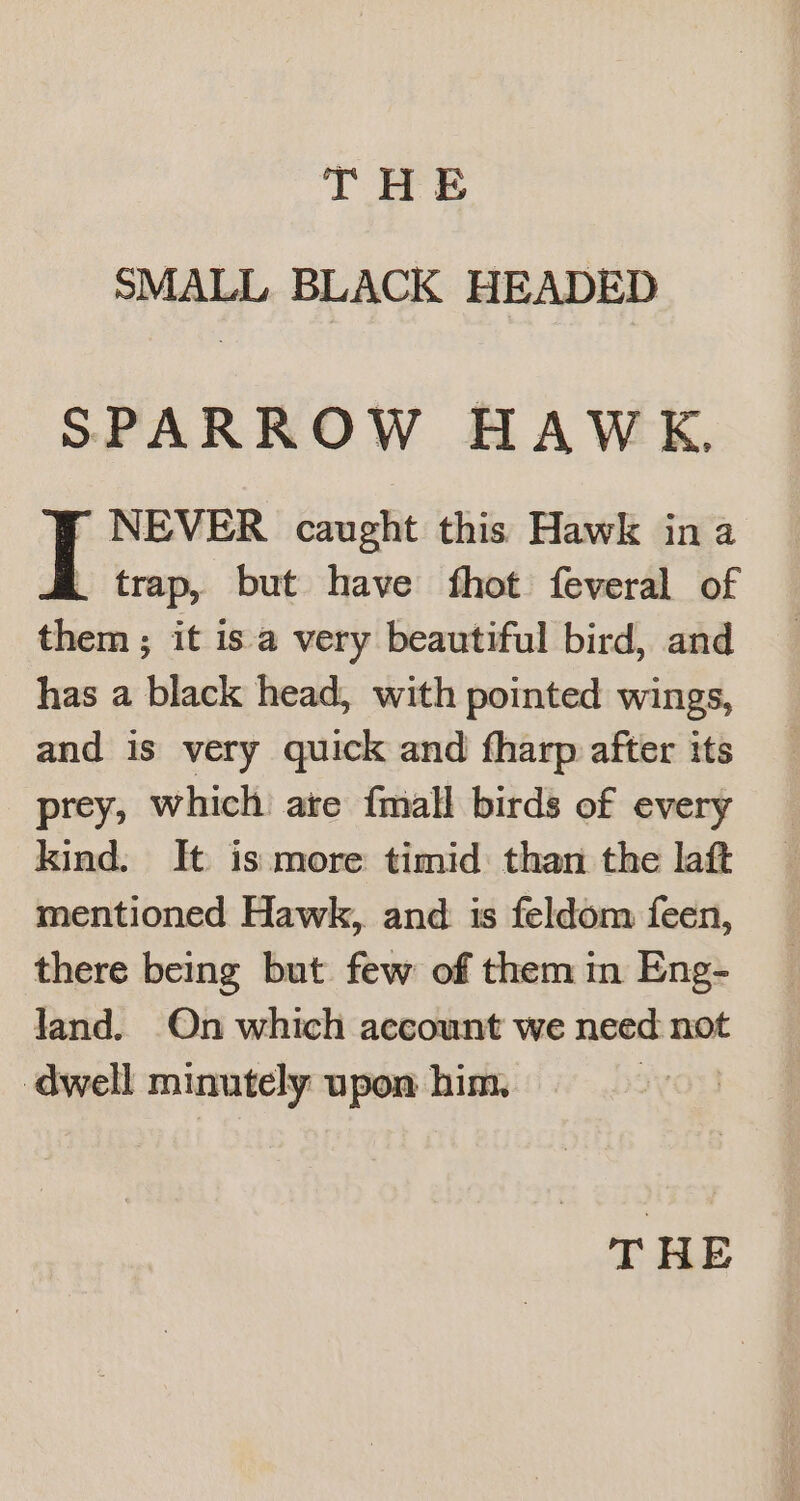 SMALL BLACK HEADED SPARROW HAWK, NEVER caught this Hawk ina . trap, but have fhot feveral of them ; it is a very beautiful bird, and has a black head, with pointed wings, and is very quick and fharp after its prey, which: are {mall birds of every kind. It is more timid than the laft mentioned Hawk, and is feldom feen, there being but few of them in Eng- Jand. On which account we need not dwell minutely upon him, 7 THE