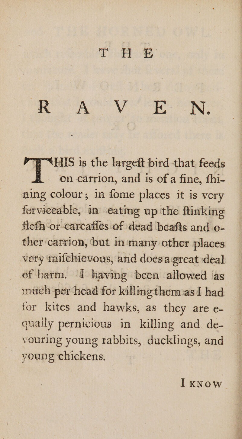 ROS aes P-EHIS is the largeft bird that feeds on carrion, and is of a fine, fhi- ning colour; in fome places it is very ferviceable, in eating up the ftinking fleth-or carcafies of dead beafts and o- ther carrion, but in'many other places very mifchievous, and doesa great deal of harm. I having been allowed ‘as much per head for killingthem:as I had for kites and hawks, as they are e- qually pernicious in killing and de- vouring young rabbits, ducklings, and young chickens. I kKNow