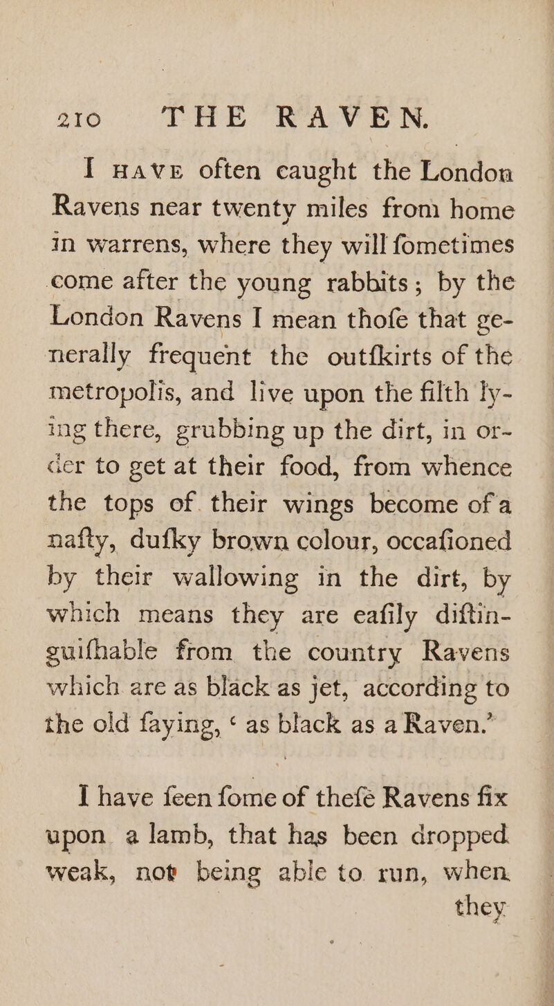 I wave often caught the London Ravens near twenty miles fron home in warrens, where they will fometimes come after the young rabbits; by the London Ravens I mean thofe that ge- nerally frequent the outfkirts of the metropolis, and live upon the filth ly- ing there, grubbing up the dirt, in or- cer to get at their food, from whence the tops of their wings become ofa nafty, dufky brown colour, occafioned by their wallowing in the dirt, by which means they are eafily diftin- guifhable from the country Ravens which are as black as jet, according to the old faying, ‘ as black as a Raven,’ I have feen fome of thefé Ravens fix upon a lamb, that has been dropped. weak, not being able to run, when they