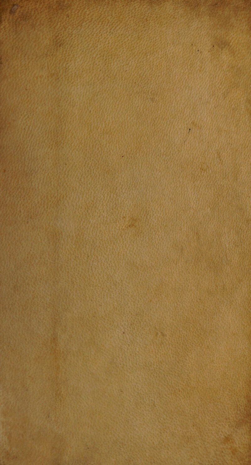 aee a BAS MN ec ter rese rmi e