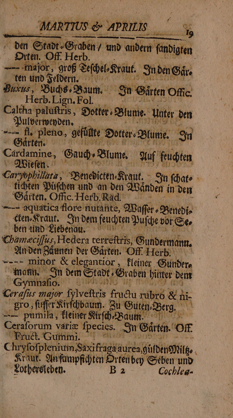 TIU$ e p s suh T euin L6» TOT unb ro men | vitai Of H Herb —— [E tnajor, 9rof. Seb Saut. E baneár, ten unb Sefbern. Mid Suxus, SBuds HN i S Gite Offic. Herb. Lign.Fol Caltha palüftris , Soter; Blume. Moter n Sphulpertotpben, ' i fl, pleno, gdütte. Dot um. Si drte, — 7 Cirdamine, [M Blume. uf feuditen Quien. Gerytphillta Shenebícten Rraut, - E fiato : tidbten Spüfden unb an ben SInánbem inten 'rten, Offic. Herb. Ràd. -—- aquatica flore nutaite, Smaffor ;Biitebis . €ten.Svdut.. Sn bem feudten Pufdpe bor Ge bensinb fiebenam. - Chameciffus, Hedera cerréftris, Giuribeimámn, Stnboen Bügnen Der Gárten. Of Herb. ^ — ---- minor &amp; elegantior , feiner. Giinber, mamu. Cjn bem itat Graben. iter beam ^Gymnsafio. ^ Cerafur major fylvettris A ed &amp; à - gro, fufferstirídibaum. Qu Guten3erg, m --— purnila, feiner Sürfibaum. ^1 Ceraforum variz fpecies. o Gir t Or CEruc Guinmi C Chryfofplenium Saxifragaaurea toes fo. . $waut. 9b fampfid)ten £rtét bep Giben unb Sotbereteben. B a Cochleaq-