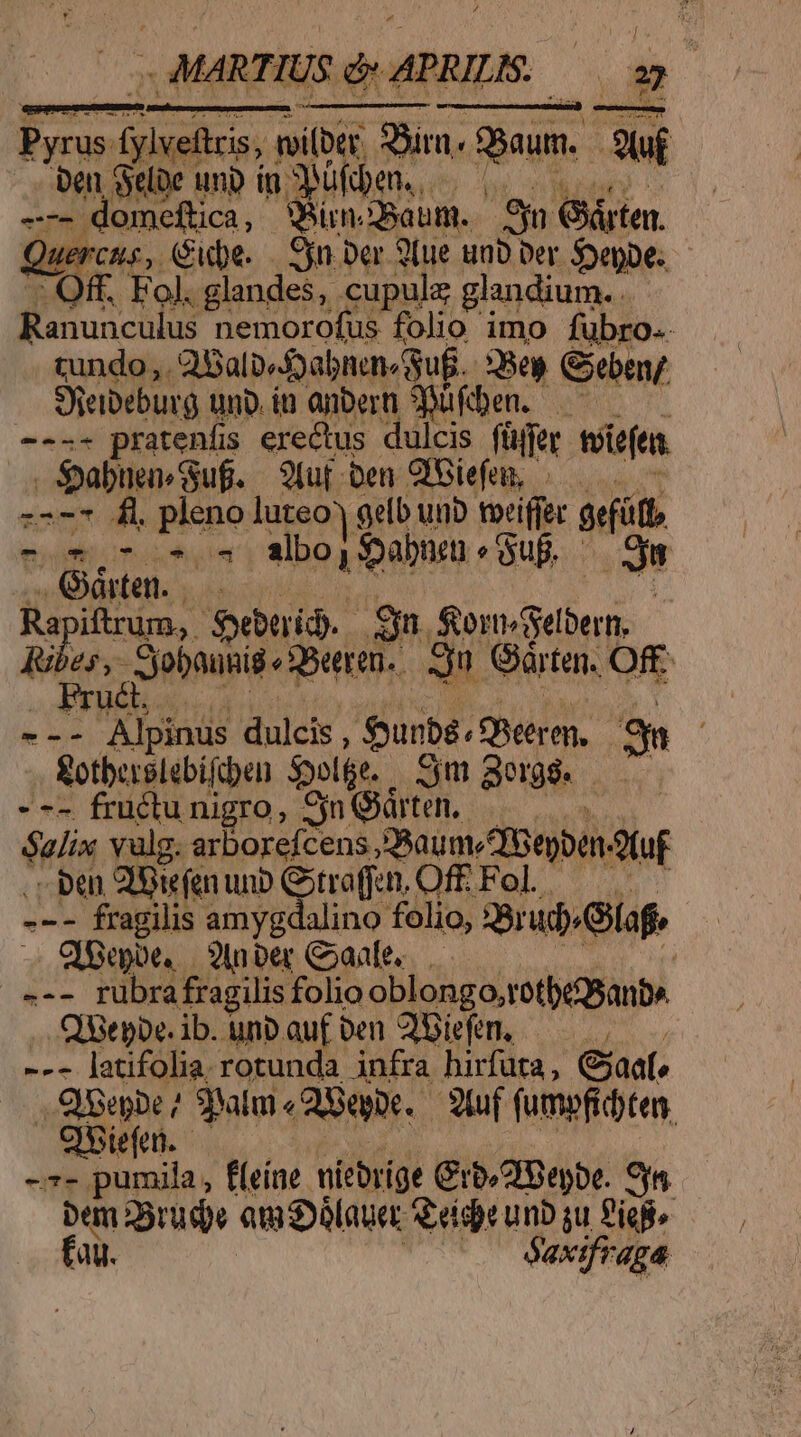 MAR TIUS d» 4] e APRILIS d a. Pyrus XOT udi ibt. (ver Bim. oum. -3uf o Gribe wnp in ufben. | 1 - domeftica, Bin. ?5autm. S Gárten. | WEFCHS,. Cube. | Syn Der 9lue unb Der $epbe.— - Qff. Fol. glandes, cupulz glandium. . Ranunculus nemorotus folio imo fübro.- tundo,. 3iSalp.Jabnen« Gu. DM Geben Sfeibeburg unp. in anberti Wuüfben. -— T4 pratenfis erectus dulcis füffer toiefen . Sabuen Suf. 9uf ben GGiefem, /—— z7-7 fl pleno luteo) geb unb veiffer gefütt -o- 7 5 «4 8lbo 1 Sabnen «ug. - au .Gárten..— | Ra iftrum,. Syebtrid.- Sn. Som-Subern I7 M snp «Soeeren. Ju Gárten. Of --- Alpinus dulcis : $urbé. Qr em. E &amp;otberslebifcben $ol6e. Sm Sorgé. —— - -- fructu nigro, Sn Garten, — Fa alix vulg. arborefcens, Daum fBeyben dtuf - pen 2'Biefen unb Gotraffen, Off. Fol. — --- fragilis amygdalino folio, 38r ud afr ! . Gee ?nber Coaae. — : »-- rübra fragilis folio oblongo;totbe/ganbe .. Qigepbe. ib. unp auf en Biefen, | --- latifolia rotunda infra hirfuta,, Gjaat, ., Qiiepbe / palm « epi. tuf fumpfid)ten OfSiefen.- -7- pumila, f(eíne. uíebrige Crb^2Peybe. 9n. Dem rud am dülnuer Sreidpe unb gu gie fau. Sfaxifraga