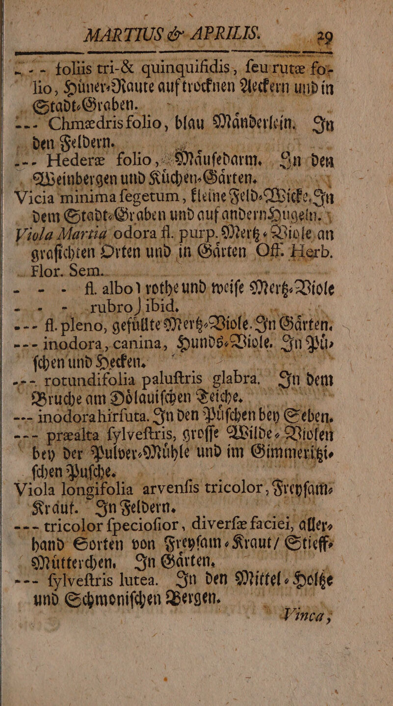 P * MARTIUS d» APRILIS. NT T - loliis tri-&amp; quinquifidis, feurute fo: T lio, SyünevsRaute auf trednen don n NC apt; Giroben..  | 2. Chmedrisfolio, [7 Süánbotin, R | , be Selbern. | .-. Hedere Ss iem. .Sn. du | iübergen uto Sücbeu Orten, —- 0s | , Cirio. fegetum, fLeite Srlb-Qeids du iem Citabt/Orabon unb auf anberns)ugetn, x Viola Martia: odora fl. purp. Str « 3iole .an groficbren orten unb in. Girten. Off. Herb. Nonis Sem... |- o -0-£ albo! votbe unb tocife Smart 2Biol ET |. rubro] d ud. RON | --- fl. pleno, gefülitestert/8i ed Gies.  UN MS: canina, BUS S b Emm m n do va€ ie fiben uf m Gimmai fiben 3 fce. i igi | Viola pc HAT idum tricolor, Sif | Sáu. - Sn Selbern, --- tricolor fpeciofior, diverfe fii ater, | bano Corten von Grepfam Saut] Citieffs 3 Matterben, — Cyn Guten, Aus fylveftris lutea. Syn ben mici. eai uni Cdmonifde spere. loa ge | US inca ;