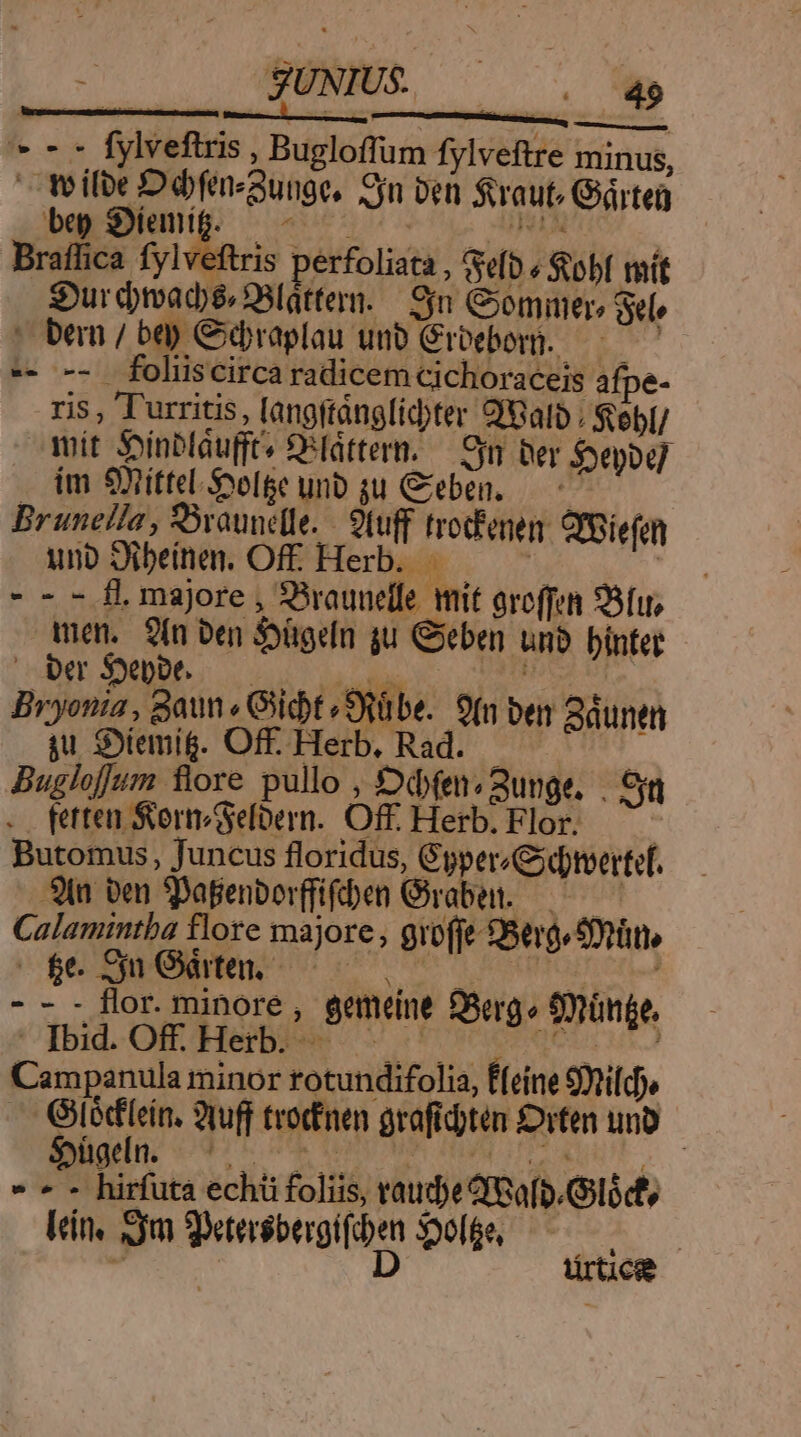 4 QNS |. * - - fylveftris , Bugloflum fylveftre minus, —Wwilbe Défin-aunge, Sn ven $raut, Gárten bu Dienig) 5055 0o UNA Braffica fylveftris perfoliata , Sefb « obf mit spur dmacd, Slátter. | jn Gommers ele | bern / be) Cebraplau unb Groeboyr. ——— -- -- folüscirca radicem cichoraceis afpe- ris , T'urritis, [angftánglid;ter QBalb . $ebl/ mit Sinblaufft« O^láttern. — 9n ber $jepog] . im 9Xittel.Soolge unb gu eben. — Bruneila, Svounclle. - 9tuff trotfenen. CfBiefen unb Dibeinen. Off. Herbam . ^ E - - - fl majore , Braunelle mit aroffen 95fu men. 9(n ben S$ügeln ju Geben unb bínter - — ber S»epbe. JO Mehue fidi P. NU Bryonia , aun « Gicbt /Sfübe. 9(n ben 2àunen ju. :Diemig. Off. Herb. Rad. | Buglof]um fore pullo , DófeiBuuge. | 5n ferten SormSefoern. Off Herb. Flor..—— Butormus, Juncus floridus, Ggper/Cydteertef. 9t ven SDapenborffifben Gvabet.——— Calamintha flore majore, grofje 8er. tüme BLLS o Li old oin es - - flor. minore, gemene 93erg« 9münge, feld, ORCHeIBEN S LPosnereencuro Campanula minor totundifolia, É[eine 9l), Gi haie 9iuff trocfnen grafidten iten uno COS e e e Meo le E ARE : A hirfuta echü foliis, raudje d 6o[p.Gilócts lein, eye Sietersbergifiben 300[6e, » J | D ürüce