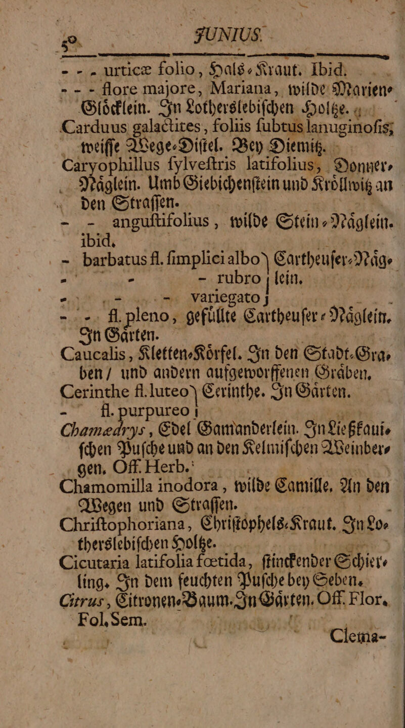 ad ES US. . - - . urticz folio, als sraut. Ibid. - - - flore majore, Mariana ,. toiíDt: Dtariene AStódlein. Sn £otberslebifiben: Dole. qc Carduus galactites , folus (ubsillanue iof . tetife QUege-SDittel. £98en SDiemig. — Caryophillus fylveftris latifolius, Sonnet» .. Staglcín. no CXIbIGpenftgin ao SuBllmig an . ben Gitraffen. - qu RERO NE , fei(be tein» 3náglein. 1DICL, E Patbui t fi implieialbo) Gartbeufer: Axtáge À - rubro | lcín. zn .^. variegato | ei cg | pleno, aefüte Gattheufer eJ Sdoleín. $n Gártan. : Caucalis , Sletten/fuórfel. cya ben Gtabt. Gra; ben / unb aupern aufgeroor fjeuen. Girdben, Cerinthe fi. WE Gerintbe. 9n Garten. LN RD 'urpureo | Chamedrys , Gel Giananbertein. On ieffauie fien Su(cpe unb an Den Selifcben 2XGeiubers gen, Off. Herb. Chamomilla inodora , tvilbe Gamille, 2n bn CBegen unb Gitrafjen. Chriftophoriana, Gbriftópbe[s Saut. Sin fo» fbevétebifcben Sooffe. Cicutaria latifolia foetida, ftiadfenber Cdi : (ing. 9jn bem feudbten. qufde been, — Cirrus, Etpe qu i d Off Flor, -Fol.Sem. i93) | po 4i DAMIEN Jg