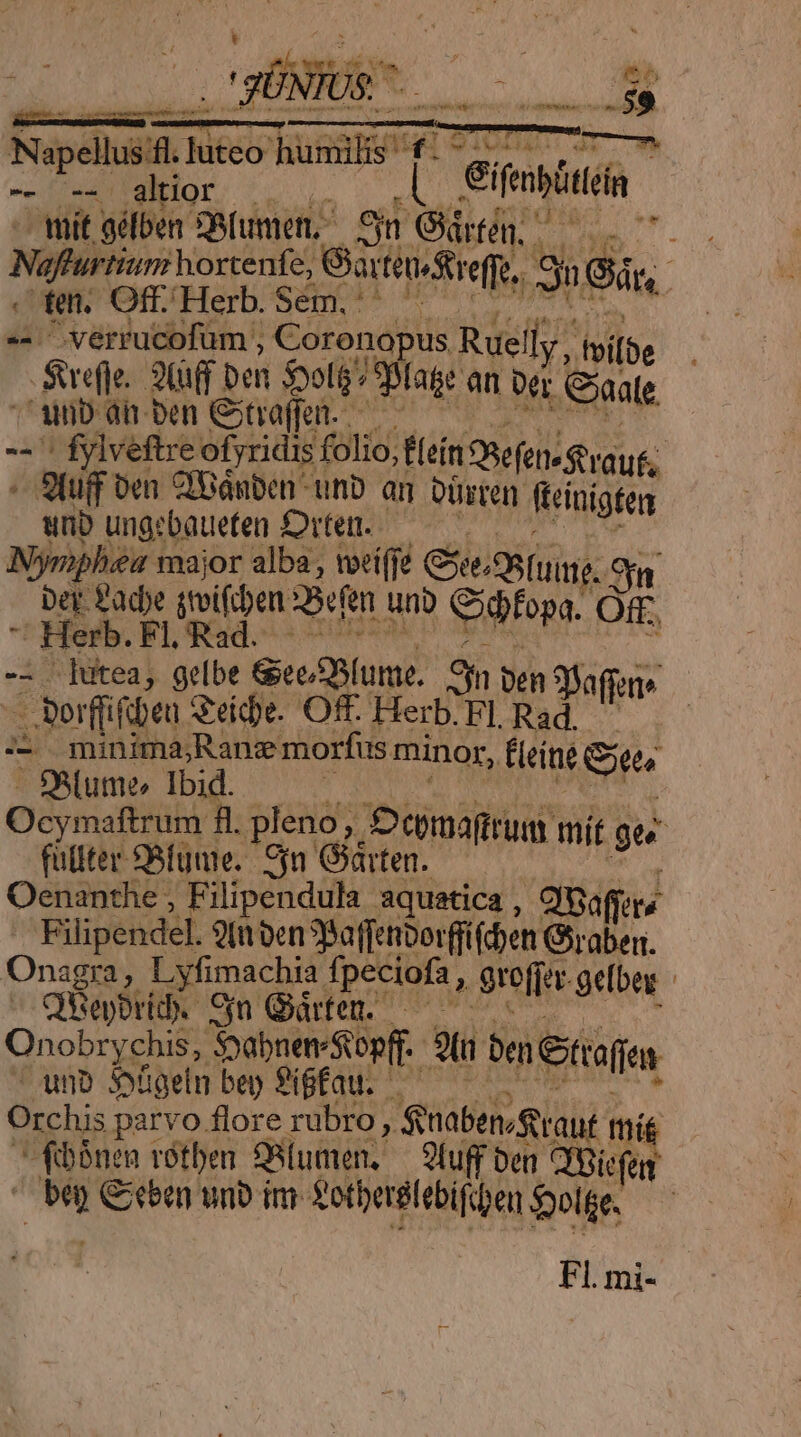 eo ur Na ellus .luteo humi Ur i9   jd - altior A o iu ifti Wit gétben. PR[uner, Sn Gártén, m. Nafturtium ortenfe, GartensStre es ; . ten. Off Herb. Sem. fe. 3 Gi ^verrucofüm , Coronopus Ruelly Y) tib Sfe 3(uff Den Poli: Splatge an d Coaale. i sov tn iMm » ' ylveftreo [yridis fo io, leín QBefen» eraut, | : Stuff oen Cibánben unb an Düren. icinigfeg unb ungebaueten £rten. yon maj P alba, ; toeiff GSteBuing. 9n Der Padpe stoi pe 5e m uno Cidfopa. O Herb. Fl, Rad. oi ba Bstofta lutea, gelbe GeeSSfume. 9n Den Safer» ave Side. Off. Herb. Fl. ny üben o minimajRane morfus minor, Ficine Sn )cymal rum i . pl eno, Depmafrius mif ge« fütiter S&amp;fume. 5n ire 3 Oenanthe , Filipendula Sricpuí Oaffets F ilipendel. 9I oen ?pa ffenborffifcben Graben. Onagra, Lyfimachia. fpeciofa, grefjor gefbe : qRepbrid. Cn Qürfen. —— Onobrychis, SoabneneSopfr.- 3t bmxtofi. unb 5ügeln ben 8ifau. Orchis parvo flore rubro, Suaben rant yd fibsnen rótben 2Rlumen,. 9luff ben CfBicfe T Geben unb im £otberélebifiben pol Fl. mi-