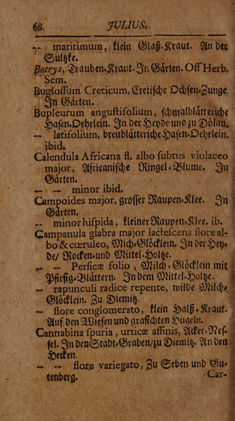 pus maritimum, jfi. Gia Sriut LT »a E ofr). S aube.fta aut. ^, eR. Bu doffüm. Creticum, Gretifibe Doe wgungt.. 22h Gta. paf Debrlein. Sjnoer $yeppe unt ju $olau, . latifolium, breiblátteridie bof Debrlein, A Calendula AM cane 8. albo fubtus. *lolunéa d ; major, Sifricanifibe Siingdl Blum, 5] , poo minor ibid. RE | Cam oides major, grofier Bisupen-lee. $n ! -— E uuPA. fleinerStaupen, EA 1b. 3 eumpsnula glabra major lacteícens flore 1:1 | be/ SRocfenvunb Sittel-Syolge. — - -o- Perfice folio , til Gldfein mít | rapunculi radice repente, ile 3rildbe -Glódlcin. 2u Siemit.. 1 - 9iuf ben 2'Giefen unb graficbten $ügdin. r  Cannabina fpuria , urtice affinis, 9ldfer- DT | M eun x (er o E el ae flore yvariegito, Bu Cibo unb eu | p yuf&amp;te. e | on Gárte. Of Herb, | upleurum. pr iod fdbmalblótres e ub d. Qàten. — — i ,urten,. bo &amp;coeruleo, SmtidyGóclein, Sj jnoe $a. : E Sp g«táttern.. Sinbem Stitteliootfe. po flore conglomerato, fein Salf, .Sraut. | fel. Sin benttabt«raben/gu Oii. SInoene