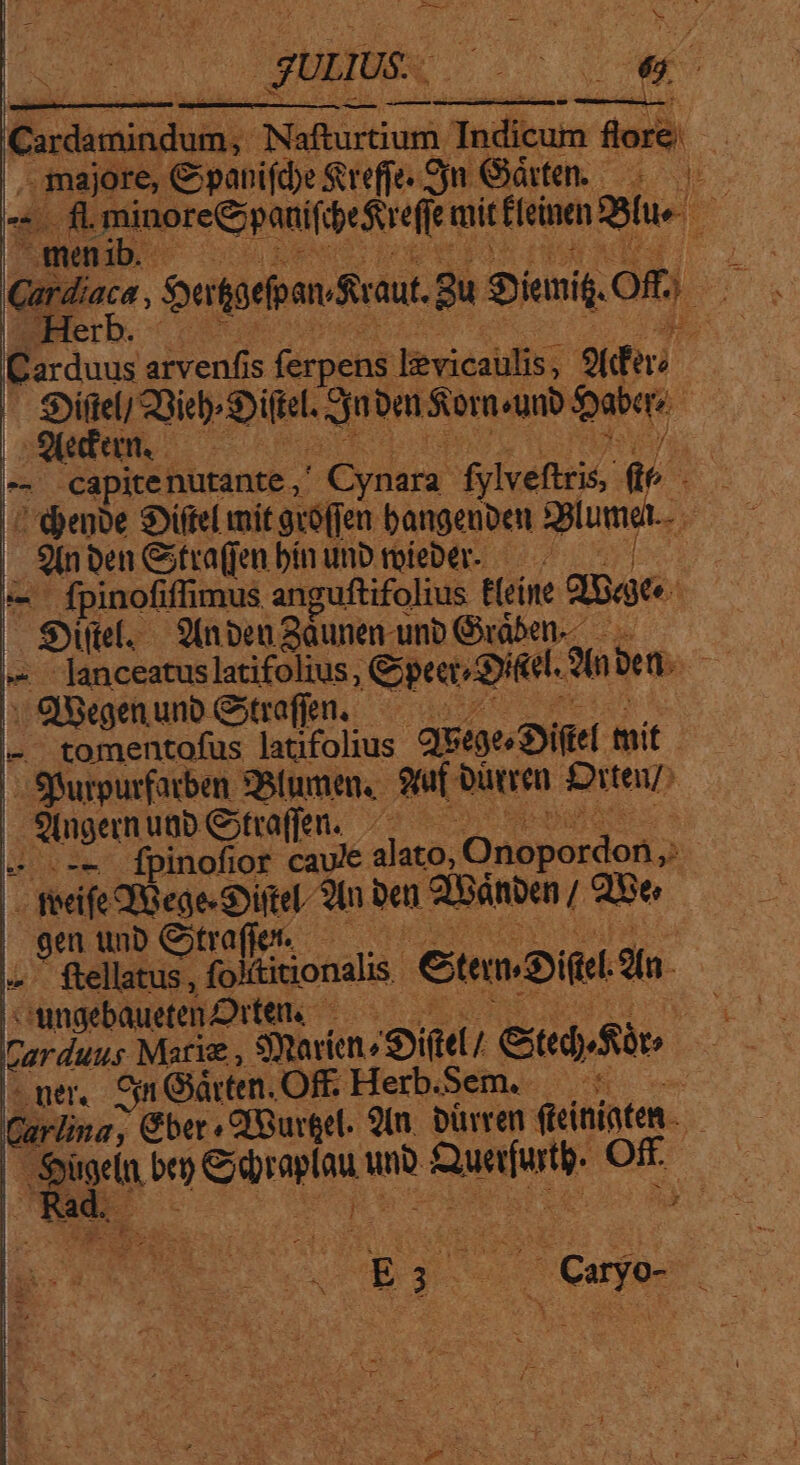 | guts. f amener dMidlcenurd fudituim flore. Mr majore, €panifde Sreffe- Sj Gt, -—o4d c dli db si ue mit Éfcinen me meni C orducs. Soertrfpan tr aut. em Sienig, Om, rb Carduus arvenfis ferpens. levicaulis; Sides | pos aie ie. RU bui Storm «unb $abe. 4 Oden. —— i - capitenutante , ' Cynara. fylvefiris, de Ns | 'doenbe Sitel mit gcó(jen bangenben : ilum. jj 2n Den Cfra(jen bín unb rofeDer- —. € fpinofiffimus anguftifolius E(eine dat. | Set. S(nben Saunen-unb Gáben--.— -Janceatus latifolius, pea Dine. 3n bet. ke : qi&amp;qgen unb. Grafen. — tomentofus latifolius quee Die mit | - Sfurpurfarben DU gf. oütren tei; | 9(ngernuüb Gitvaffen.—— - .-- [pinofior caule. alat. Onopordon,; - fecife QIBege Siti ln pen 2Bánben / 2B 9m unb Ctraffer. — ftellatus , foktitionalis. Gteneia. hn. wngebaueten Orten. | mer SimGárten.Off. Herb.Sem. — Carlin, Cber. QfBurgel 90m. Dürren. fcinioten L3 be) Sion Sx he sed pr :