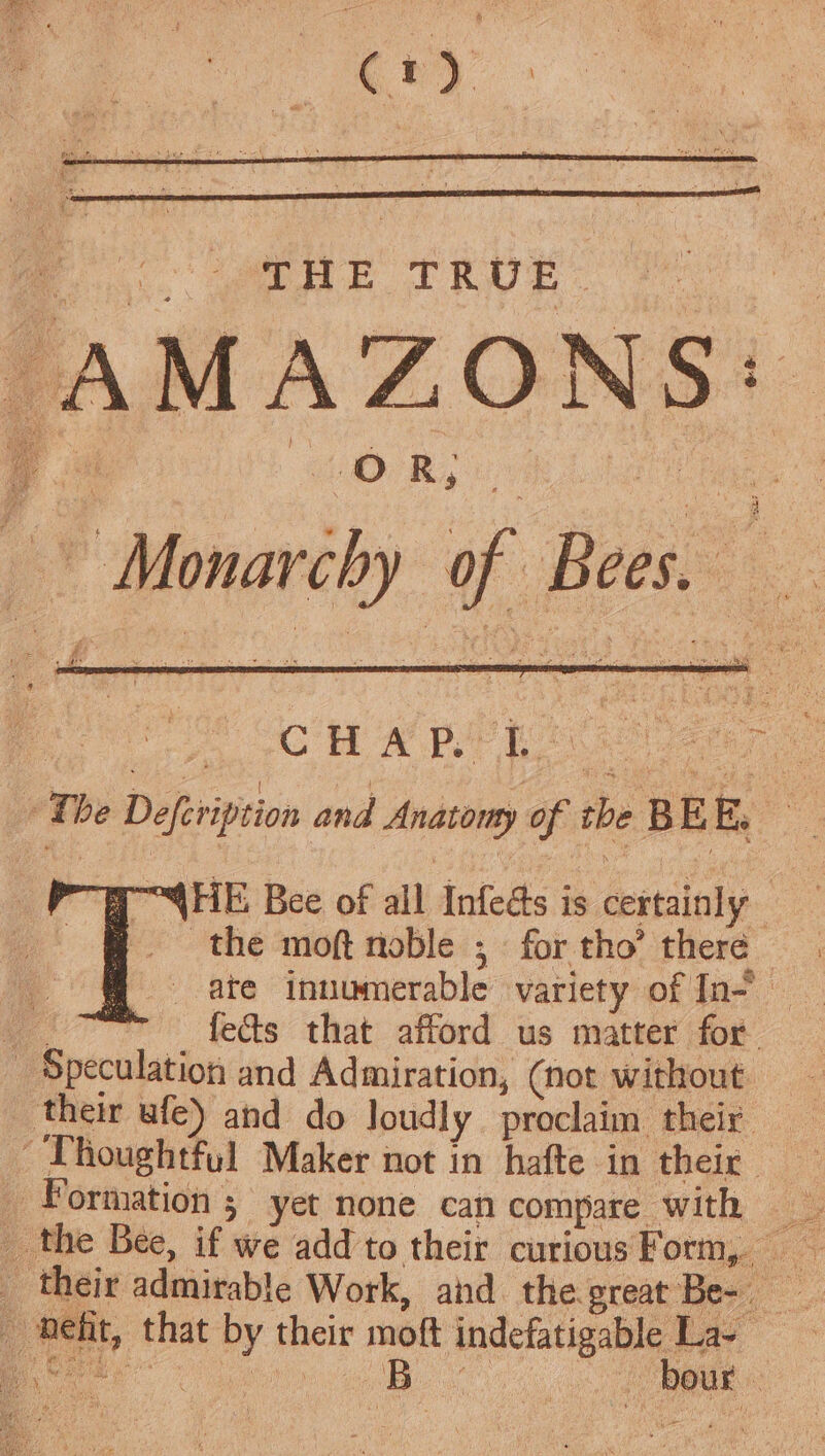 ei fis Ss Monarchy of ‘Bees. i The Defeription and Anatomy 0 of the : BE E, HE Bee of all Infedts is certainly the moft noble ; for tho’ there ate inuumerable variety of In- ss ~ fects that afford us matter for _ Speculation and Admiration, (not without _ their ufe) and do loudly proclaim their — Thoughtful Maker not in hafte in their Formation ; yet none can compare with sy _ the Bee, if we add to their curious Form, _ their admirable Work, ahd. the. preat Be- heft, that by their moft indefatigable La- ee Ce ae 4 Abby ads