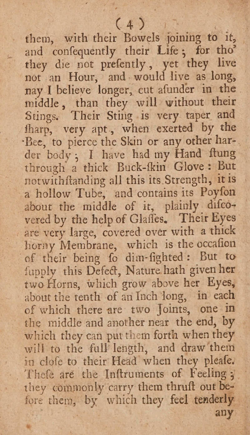 ~ them, with their Bowels joining to it, and confequently their Life; for tho’ not an Hour, and. would live as long, nay I believe longer, cut afunder in the. middle, than they will without their Stings: Their Stitig .is very taper and tharp, very apt, when exerted by the through a thick Buck-fkin Glove: But notwithftanding all this its Strength, itis | about the middle of it, plainly. difco- — are very large, covered over with a thick _ horny Membrane, which is the occafion fupply this Defect, Nature hath given her two Horns, which grow above her Eyes, about the tenth of an Inch long, in each of which there are: two Joints, one in the middle and another near the end, by | which they can put them forth when they. will to the full’ length, and draw’them in clofe to their: Head’ when they pleafe. they commonly carry them thruft out be- fore thera, by which they feel tenderly — c af any te