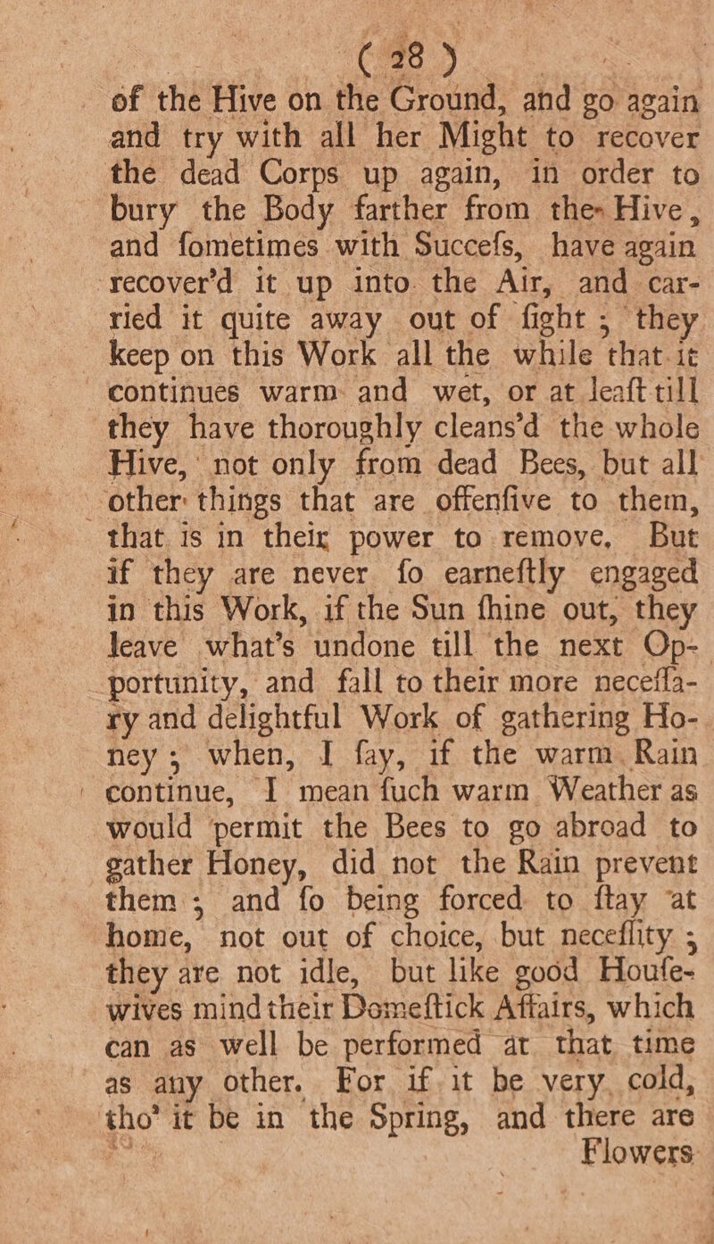 eee ec, of the Hive on the Ground, and go again and try with all her Might to recover the dead Corps up again, in order to bury the Body farther from the Hive, and fometimes with Succefs, have again ‘recover’d it up into. the Air, and car- tied it quite away out of fight ; they ~ keep on this Work all the while that-ie continues warm: and wet, or at leaft till they have thoroughly cleans’d the whole Hive, not only from dead Bees, but all other things that are offenfive to them, that is in theix power to remove, But if they are never fo earneftly engaged in this Work, if the Sun fhine out, they leave what's undone till the next Op- portunity, and fall to their more necefla- ry and delightful Work of gathering Ho- ney; when, I fay, if the warm. Rain ' continue, I mean fuch warm Weather as would permit the Bees to go abroad to gather Honey, did not the Rain prevent them; and fo being forced to ftay at home, not out of choice, but neceflity ; they are not idle, but like good Houfe- wives mindtheir Domeftick Affairs, which can as well be performed at that time as any other. For if it be very. cold, tho’ it be in the Spring, and there are oe Flowers: