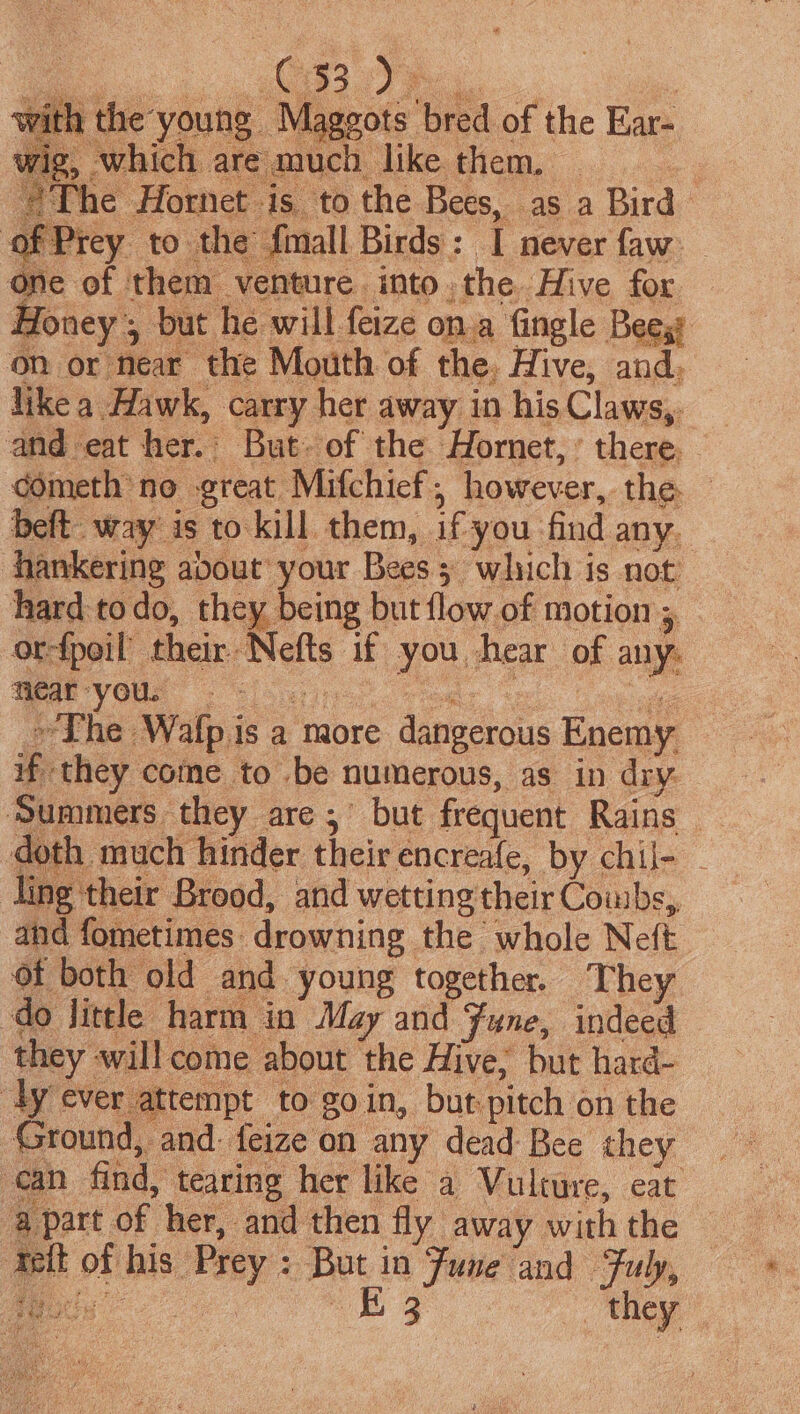 fate Baa #The Hornet is to the Bees, as a Bird of Prey to the fmall Birds: I never faw: One of them venture into the Hive for Honey , but he will feize on.a fingle Bee on or near the Mouth of the, Hive, and. like a Hawk, carry her away in his Claws,. and eat her.’ But. of the Hornet,’ there. cometh no -great Mifchief; however, the beft. way is to kill them, if you find any. hankering about your Bees 3 which is not hard-to do, tet es but flow.of motion 5 orfpoil’ their Nefts if you hear of any. » The Walp is a more dangerous Enemy if they come to be numerous, as in diy. ‘Summers they are, but frequent Rains — doth much hinder their encreafe, by chil- ling their Brood, and wetting their Combs, and fometimes drowning the whole Neft of both old and young together. They do little harm in May and June, indeed they will come about the Hive, but hard- ly ever attempt to goin, but pitch on the Ground, and: feize on any dead Bee they can find, tearing her like a Vulture, eat a part of her, and then fly away withthe — Telt of his Prey : But in Fume and Fuly,