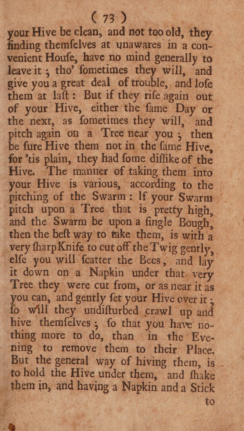 your Hive be clean, and not tooold, they = finding themfelves at unawares in a con- : venient Houfe, have no mind generally to leaveit , tho’ fometimes they will, and give youa great deal of trouble, and lofe them at laft: But if they rife again out — of your Hive, either the fame Day or the next, as fometimes they will, and pitch again on a Tree near you ; then be fure Hive them not in the fame Hive, © for ’tis plain, they had fome diflike of the Hive. ‘The manner of taking them into your Hive is various, according to the — pitching of the Swarm: If your Swarm _ ‘pitch upon a Tree that is pretty high, and the Swarm be upona fingle Bough, then the beft way to take them, is with a very fharp Knife to cut off the Twig gently, —elfe you will featter the Bees, and lay it down on a Napkin under that. very ‘Tree they were cut from, or as near it as _ you can, and gently fet your Hive over it, fo will they undifturbed crawl up and hive themfelves; fo that you have no- ‘thing more to do, than in the Eve- ming to remove them to their Place. _ But the general way of hiving them, is __ _tohold the Hive under them, and thake them in, and having a Napkin anda Stick _