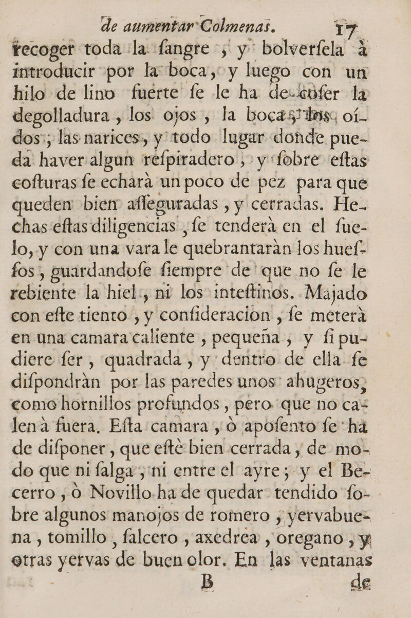 tecoger toda :la fangre 5 y bolverfela 4 introducir por la boca, y luego con un hilo de lino fuerte fe le ha de-bfer la degolladura , los: ojos , la bocas is, oí. dos:; las narices, y'todo lugar donde. pue- da haver algun reípiradero , y «fobre eftas cofturas fe echará un poco de pez para que queden bien afleguradas , y cerradas. He- chas'eftas diligencias ¿Le tenderá en el fue- lo, y con una vara le quebrantarán los huef- fos, guardandofe fiempre de 'que no fe le rebiente la hiel:, ni los inteftinos. Majado con efte tiento , A confideracion , le metera en una camara caliente , pequeña , y Íipu- diere fer , quadrada , y dentro de ella fe difpondrán por las paredes unos: ahugeros, como hornillos profundos, pero que no ca= lena fuera, Efta camara , O apofento fe “há de difponer, que eftc bien! cerrada y de mo- do que ni lalga,'ni entre el ayre; y el Be- cerro , 0 Novillo.-ha de quedar. tendido fo- - bre algunos manojos de romero , yervabue- na , tomillo , falcero , axedrea , oregano , y otras Desi de buen olor: En las ventanas | B de