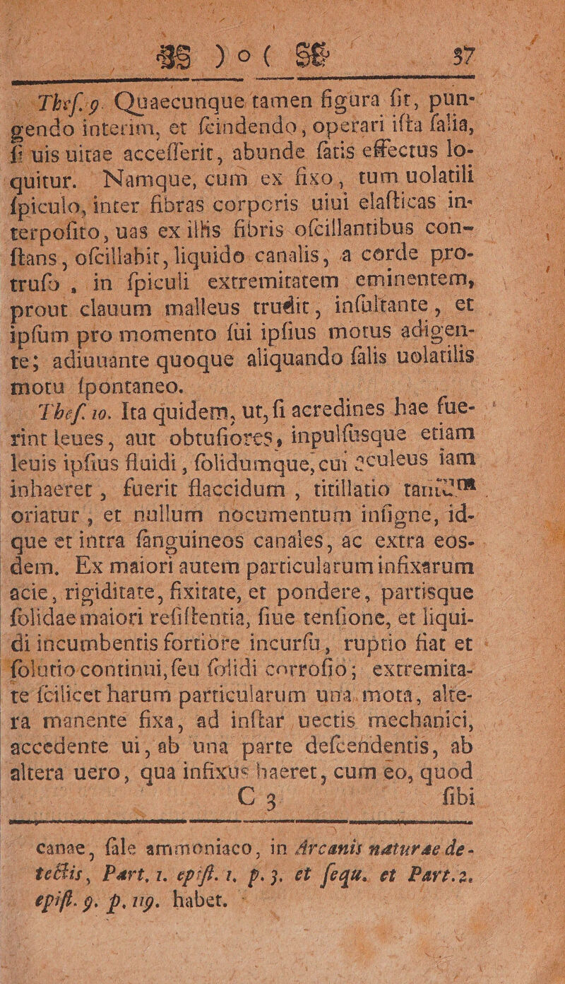 LEE TRIS QS p Thi. 9. Quaecnuque tamen figura fir, pun-— gendo interim, et fcindendo, operari iftafalia, — di uis niae accefferir, abunde farisefectuslo- — — quitur. Namque, cum ex fixo, tum uolatili — — Ípiculo, inter fibras corporis uiui elafticas im ——— Terpofito, uas exilhs fibris oftillmbus con- trufo , in fpiculi extremitatem. eminentem, prout clauum malleus trudit, infültante, et — — ipfum pro momento füi ipfius morus adigen- — te; adianante quoque aliquando falis uolatilis — moru fpontaneo. —— -— Thef. wo. Ita quidem, ut, fi acredines hae fue- ' rint leues, aut obtufiores, inpulfüsque etiam leuis ipfius fluidi , folidumque, cui aculeus iam .- inhaeret, fuerit flaccidurn , titillatio tauic oriarur, et nallum nocumentum infigne, id-- que et intra fanguineos canales, ac extra eos- . -dem. Ex maiori autem particularuminfixarum | acie , rigiditate, fixitate, et pondere, partisque folidae maiori refiftentia, fiue tenfione, et liqui- di incumbentis fortiore incurfü, ruptio fiat et : d folutio continui, feu. folidi corrofio; extremita- d : ; 5 te fcilicet harum particularum una. mota, aWe -— 0) ra manente fixa, ad inftar uectis mechanici, accedente ui,ab una parte defcendentis, ab altera uero, qua infixus haeret, cum eo, quod Tis 3 a í : NTC EUN D ; : canae, fale ammoniaco, in Zrcanir maturae de-. tcébis, Part, 1. epifi. 1, p. 3. et. fequ. et. Part.2. LL eqE s. p.n. habet. ^ :