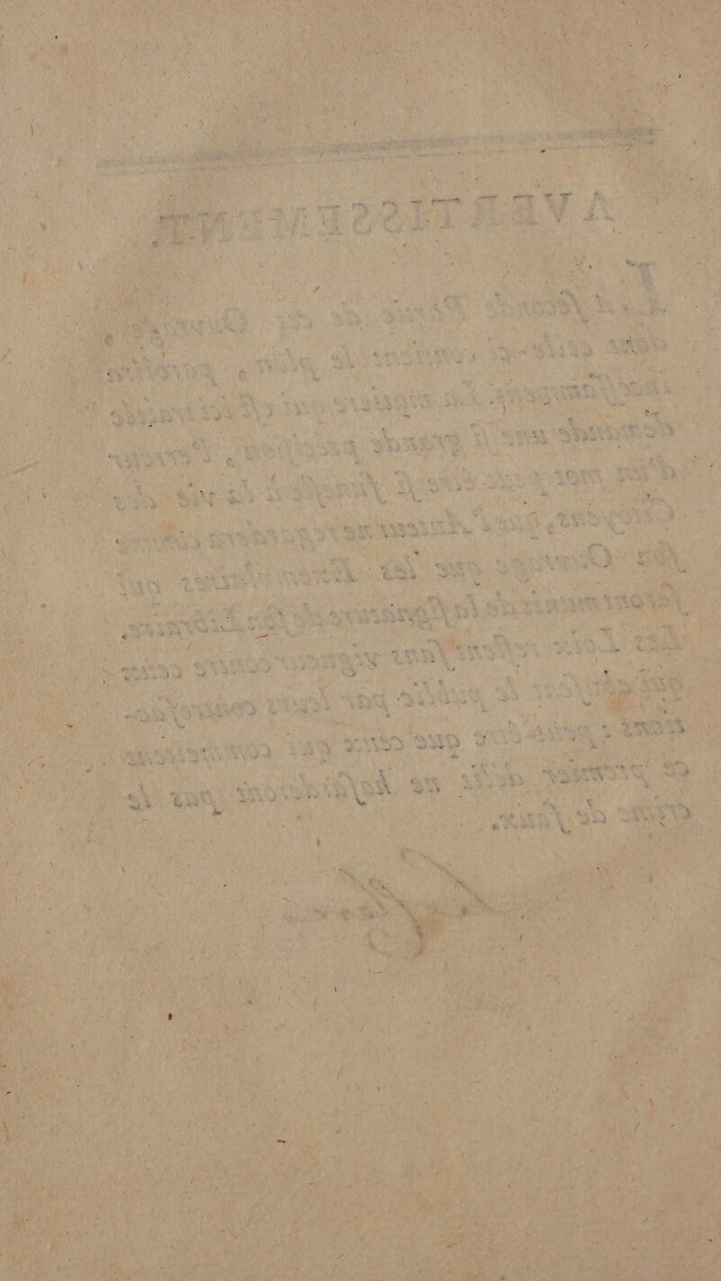 | 7 ae À: tes ci sy ASS sisi Re .… fi ñ *. ? do St ne FE