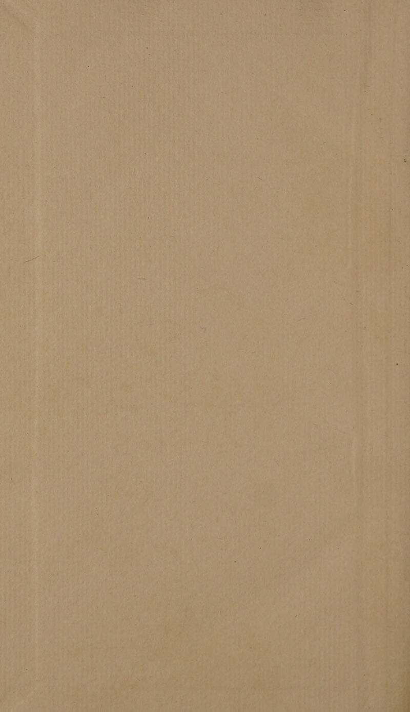 T4 F D RAS Te ve Mgr Te ae