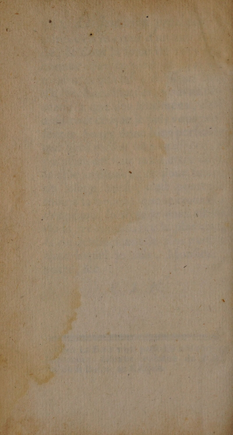 + r? + : ni * 4, L æ pt