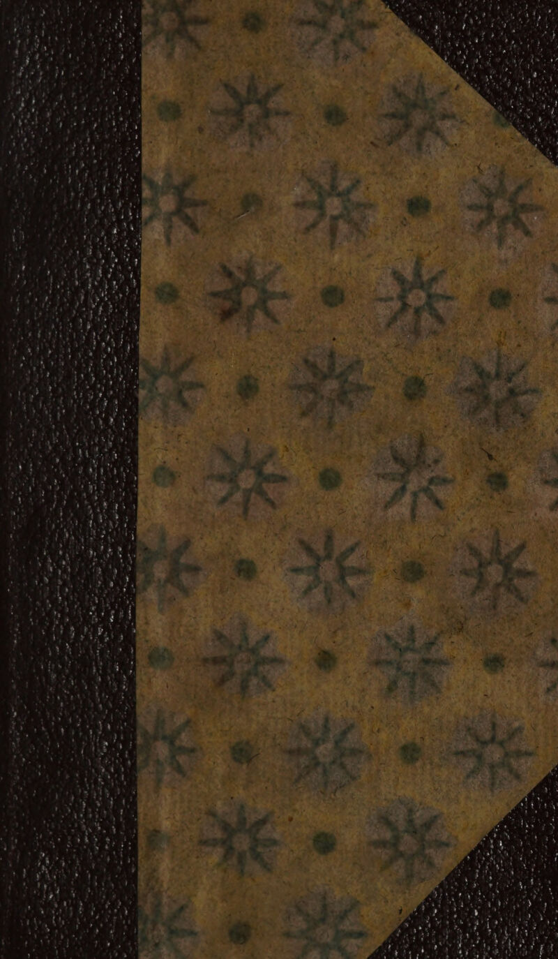 ye te San” 4 4 \ > € Le al > = oe = * ~~ é ate ’ #t 7) : - tk ‘= ae - e 7 - « ’ - ys . a