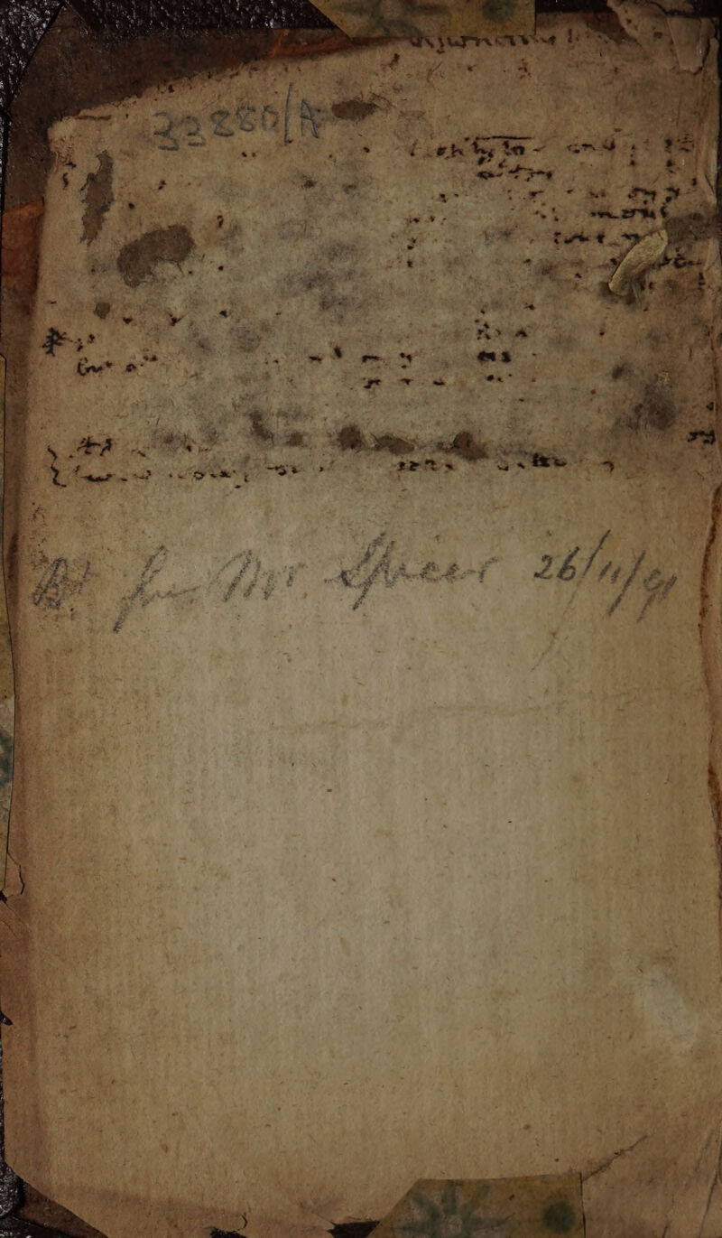 No text description is available for this image