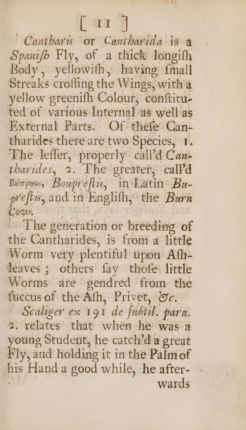 ~ Canthares or Cantharvida is a Spanifo Fly, of a thick longifh Body, yellowith, having {mall Streaks crofling the Wings, witha yellow epreenifh Colour, conftitu- ted of various: Internal’ ds well as External Parts. Of. thefe: Can- tharides there aré two. Species, I. The lefler, properly call’d Cant thavides, 2. The greater, call’d Berpusts, Boupr efits, in‘ ‘fatin bu- prefins, and 1 in E nglith, the Burn oe The generation or breeding of the Cantharides, is froni a little Worm very plentiful upon Ath- leaves ; others fay thofe little Worms are gendred from the faccus of the Afh, Privet, ec. — | Scaliger ex 191 de fubtil. para. 2. relates that when he was a young Student, he catch’d a great Fly, and holding ; it in the Palmof pis Hand a good while, he after- - wards