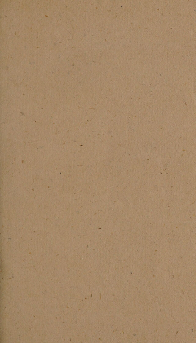 digitised image 3