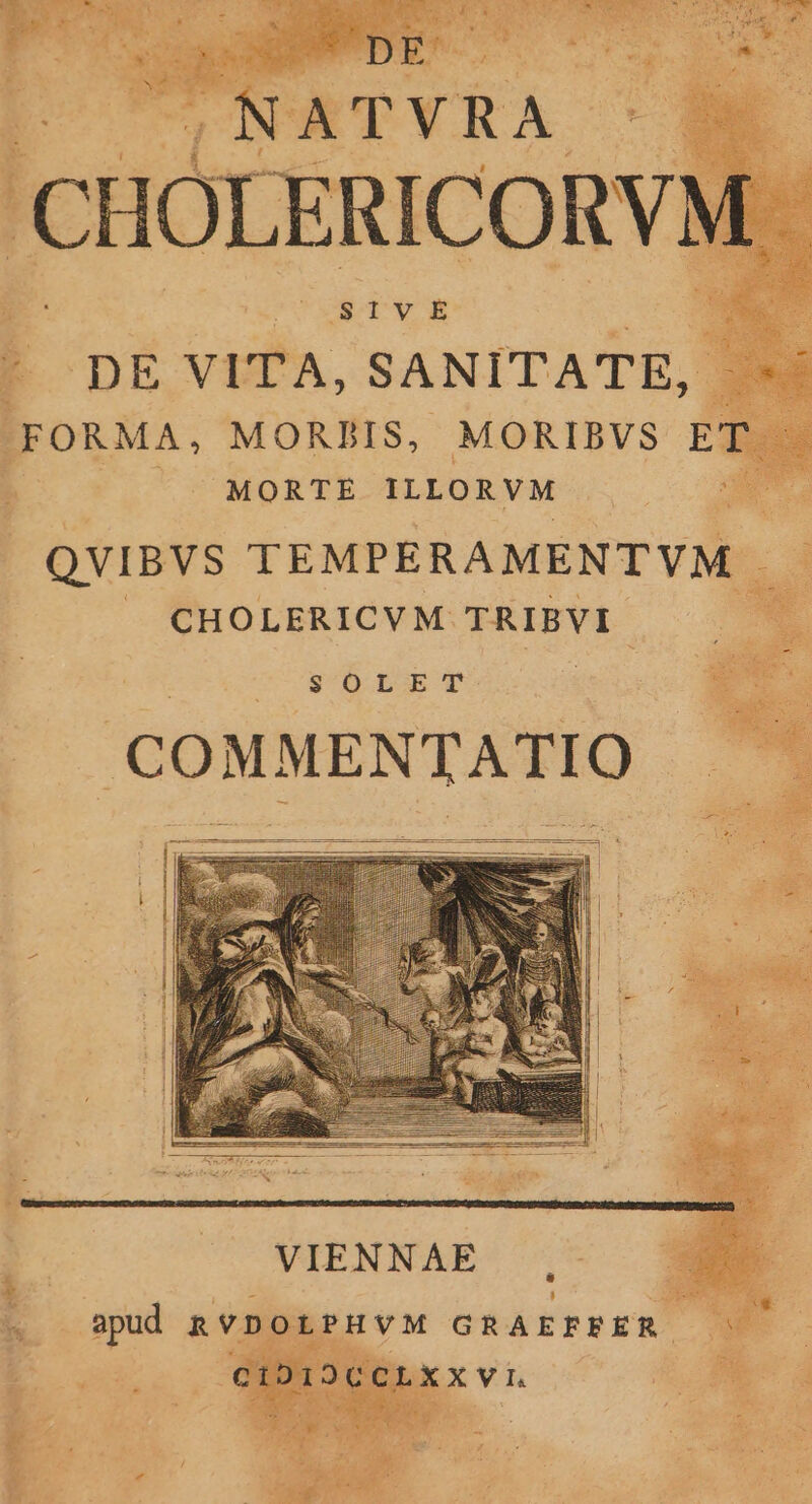 R^ 41v E MORIBVS ET. MORTE ILLORVM QVIBVS TEMPERAMENTVM - JA CHOLERICVM TRIBVI SOLET COMMENTATIO VIENNAE . apud RVDOLPHVM GRAEFEER