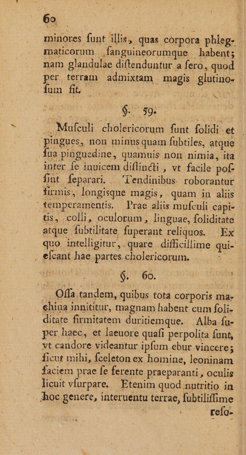 e LEE minores funt illis, quas corpora phieg- maticorum |fanguineorumque . habent; nam glandulae diftenduntur a fero, quod per terram admixtam magis glutino- . fum A eu n- dau! jii. «AB gage | —. Mufculi. cholericorum funt folidi et pingues, non minusquam fübtiles, atque . fua pinguedine, quamuis non nimia, ita - inter fe inuicem diflincti , vt facile pof fint feparari. . i'endinibus. roborantur firmis, longisque magis, quam in aliis temperaments, Prae aliis mufculi capi- tis, colli, oculorum , linguae, foliditate atque fubtilitate fuperant reliquos. | Ex quo. intelligitur, . quare. difficillime qui- . €Ícant hae partes cholericorum. . ' : $. 6o. . Offa tandem, quibus tota corporis ma. china innititur, magnam habent cum foli- ditate firmitatem duritiemque. — Alba fa- per haec, et laeuore quafi perpolita funt, vt candore videantur ipfum ebur vincere; ficut mihi, fceleton ex homine, leoninam faciem prae fe ferente praeparanti , oculis licuit víurpare. Etenim quod nutritio in ;hoc genere, interuentu terrae, fubtiliffime refo- : OL VOR CLONE V3