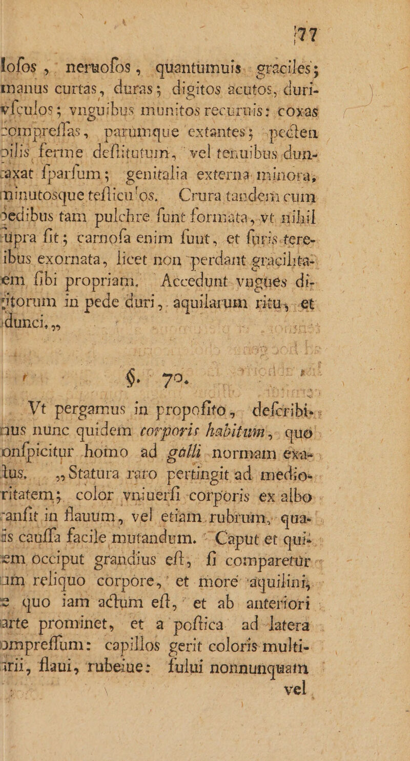 11 | lofos 58. : neruofos , quantümuis.- eraciles; manus curtas , duras; digitos acutos, duri- vfculos; : vnguibus munitos recuruis : coxas ompreffas , . parumque 'extantes; -pcéten ollis. ferme defi itutum, ^ vel van bs dun- xat dparfum; genitalia | externa. minora; ninutosque teflicu'os, . Crura tandera cum Sedibus. tam pulchre funt formata, vt nihil pra fit carnofa enim fuut, et fiis. fere- ibus exornata, licet ixon perdant. gracilitaz em. fibi propriam, - Accedunt vugnes di- torum in peoe: dur ,. ian ritus. st dunci.,, LS - TEE yt pergamus in jropofit T | defer : jus nunc quidem: eorporis habitum. - quo. onfpicitur hoino ad galli. normam exae lus... ,Statura raro pertingit ad medio. | ritatem ;. color. vniuerfi. corporis ex albo. -anfit in flauum, vel etiam. rubrum, qua. . Qs cauffa facile mitandem. « Caput et quis. em Occiput grandius eft, fi comparetür e am. reliquo - corpóre,' et more aquilini, 2 quo jam actum eft, et ab anteriori arte prominet, et a poftica. ad latera ompreffum: capillos gerit coloris. multi- ani, flaui, rubeiue: fului —S ve !