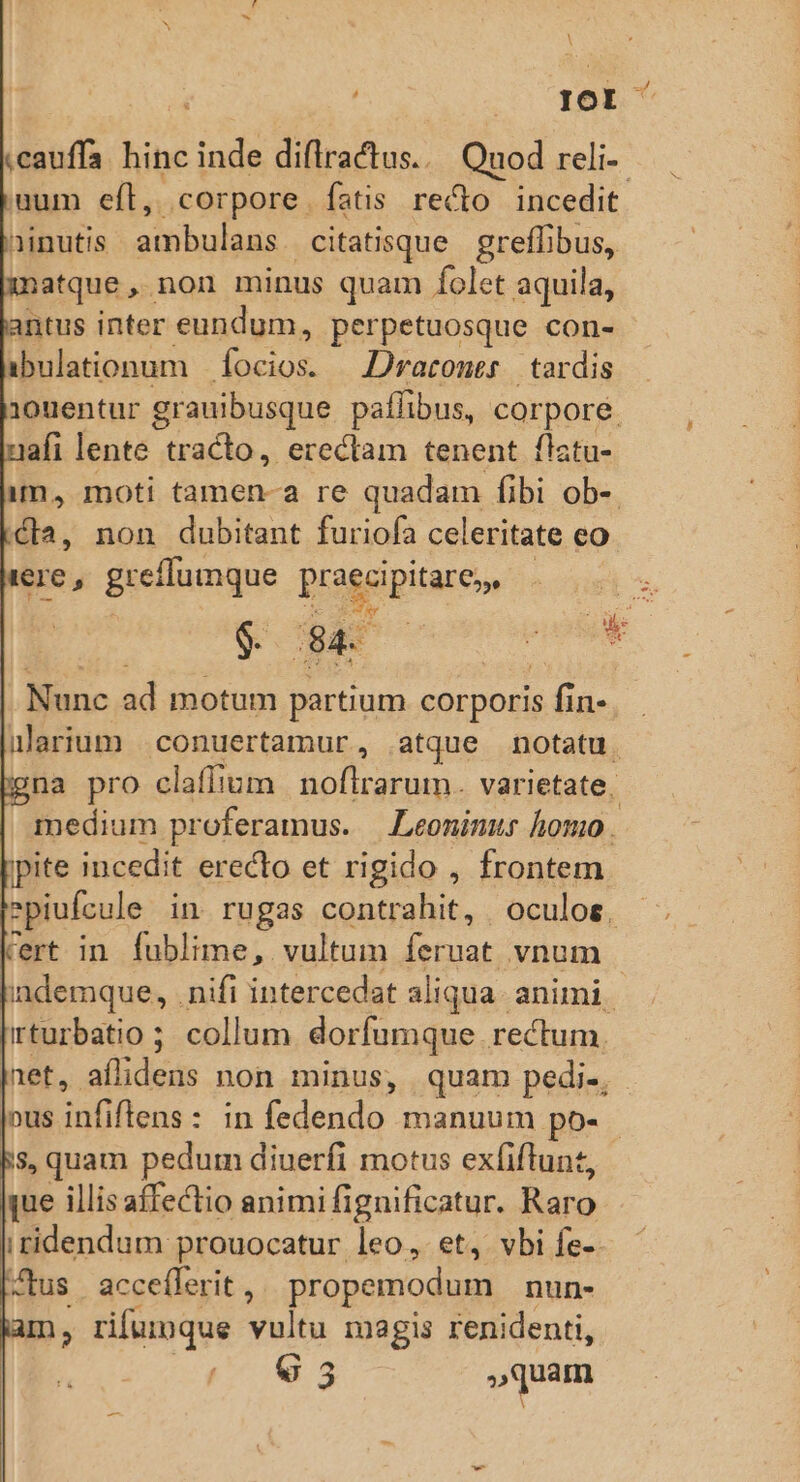 Y IX Rm «cauffa. hinc inde diflractus... Quod reli. mum eft, corpore fatis recto incedit. ninutis ig A Re citatisque greffibus, matque, non minus quam folet aquila, antus inter eundum, perpetuosque con- abulationum focios. —.D/raconer.| tardis 1ouentur grauibusque paffibus, corpore. afi lente tracto, erectam tenent flstu- im, moti tamen-a re quadam fibi ob-. lis. non dubitant furiofa celeritate co ere, greflumque Pragpipitaceoe TN Nunc ad motum partium corporis fin-. ularium | conuertamur, atque notatu. na pro claflium | noflrarum. varietate. medium proferamus. —Leoninus homo . pite incedit eredto et rigido , frontem »piufcule in. rugas contrahit, oculos. Cert in fublime, vultum letiat vnum | indemque, . nifi intercedat aliqua. animi. rturbatio ; collum dorfumque rectum. |net, ail dede non minus, quam pedi., ous infiflens: in fedendo manuum po-- Bs, quam pedum diuerfi motus exfiftunt, que illis affectio animi fignificatur. Raro iridendum prouocatur leo, et, vbi fe-. tus | acceflerit , propemodum nun- am, rifumque vultu magis renidenti, G3 »quam