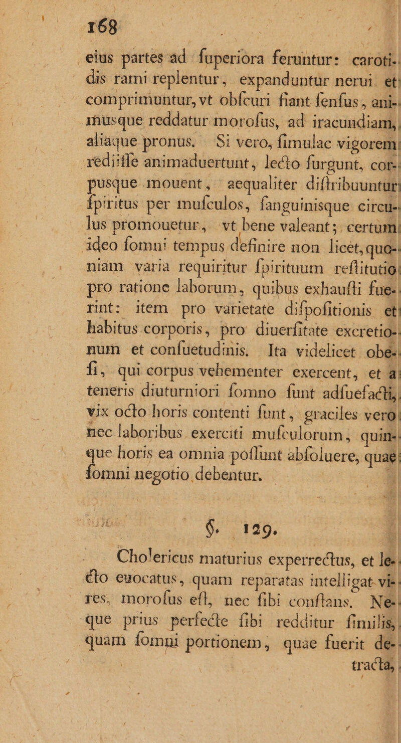 a  t A /  169 MORL VU EUN | eius partes ad | fuperiora feruntur: caroti-. ' dis rami replentur, expanduntur nerui. et| comprimuntur, vt obfcuri fiant fenfus , ani- rhusque reddatur morofus, ad iracundiam, aliaque pronus. | Si vero, fimulac vigorem, xedi:ffe animaduertunt, lecto furgunt, cot-| pusque mouent, aequaliter diflribuuntur| fpiritus per mufculos, fanguinisque circu- lus promouetur, | vt bene valeant;. certum| ideo fomn: tempus definire non licet, qua-: niam varia requiritur fpirituum reflitutio| pro ratione laborum, quibus exhaufti fue-| rit: item pro varietate difpofitionis et habitus corporis, pro diuerfitate excretio-; num et confuetud:is, Ita videlicet obe-; fi, qui corpus vehementer exercent, et a; teneris diuturniori fomno funt adfuefacti, vix octo horis contenti funt, graciles vero, nec laboribus. exerciti mufculorum quin: que horis ea omnia poflunt abfoluere, quae omni negotio debentur. P. $. 129. b Cholericus maturius experrectus, et le-| €bo euocatus, quam reparatas intelligat. vie: res, morofus efl, nec fibi conflans. Ne- que prius perfecte fibi redditur. fimilis, quam íommi portionem, quae fuerit de-; | | tracta,