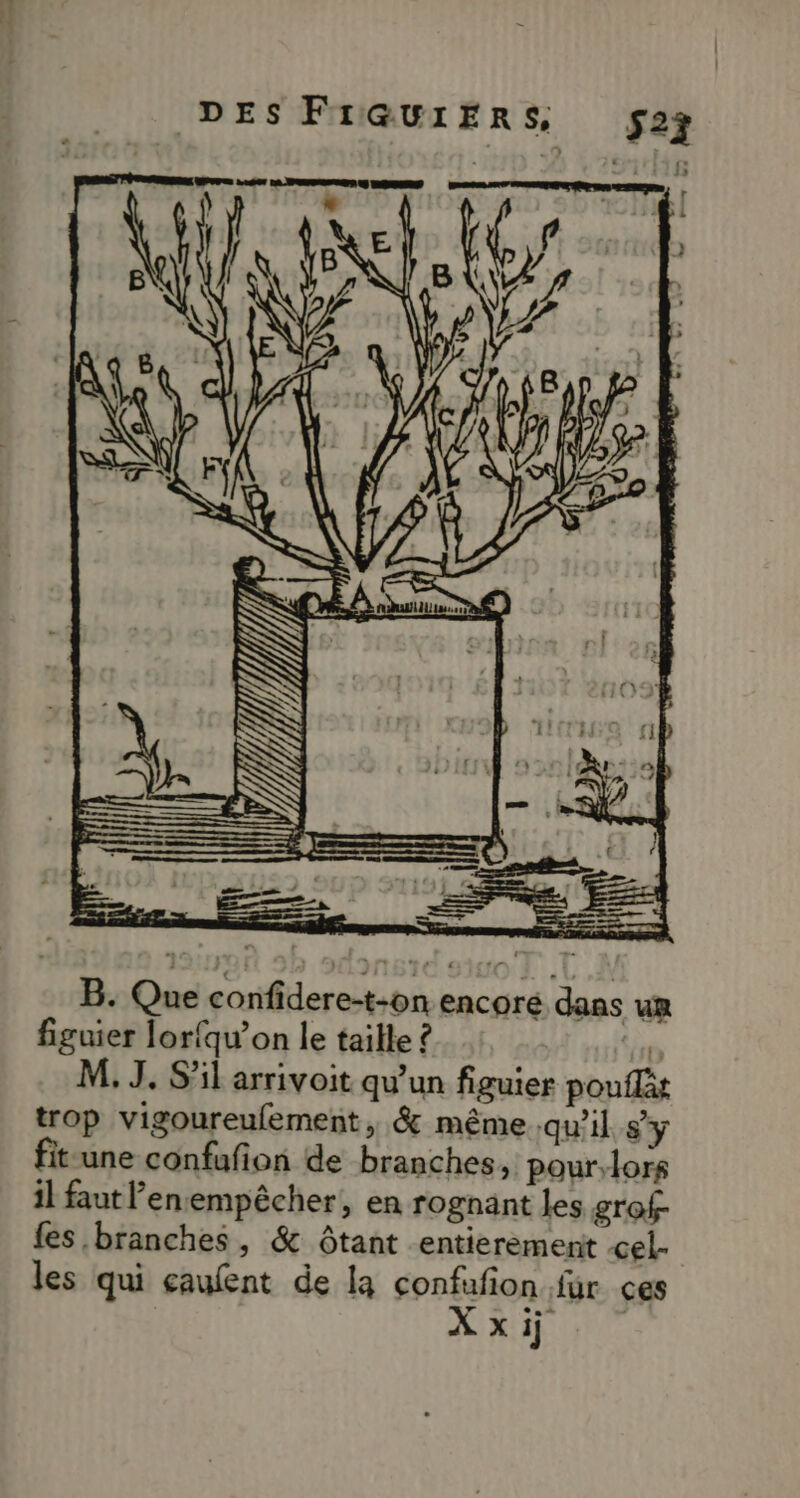 B. Que confidere-t-on encoré dans ur figuier lorfqu’on le taille ? M. J. S'il arrivoit qu’un figuier pouflàt trop vigoureufement, &amp; même qu'il sy fit une confafion de branches, pour;lors il faut Penempêcher, en rognant les grofr fes branches, &amp; ôtant entierement cel- les qui caufent de la confufion für ces > QT) MR
