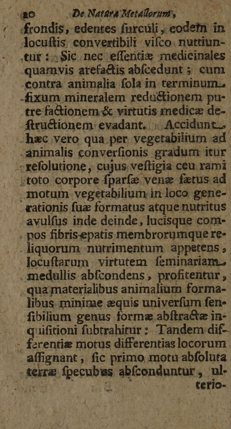 *- frondis, edentes furcüli , eodetri in. locuftis. convertibili vifco. nuttiun- es tur issic.nec effentiz medicinales. quamvis arefactis abí(cedunt ; cum contra animalia fola in terminum. fixum mineralem redu&amp;tionem pu- tre fa&amp;tionem &amp; virtutis medicz de- ftructionem: evadant, |. Accidunt... hzc vero qua per vegetabilium ad -animalis converfionis gradum itur . xefolutione , cujus veftigia ceu rami -;toto corpore fparfe vena fatus ad motum vegetabilium in loco gene- .«ationis fuz formatus atque nutritus -avulfüs inde deinde, lucisque cori- . pos fibrisepatis membrorumque re- .liquorum nutrimentum appetens Jocuftarum | virtutem feminariam., medullis abfcondens , profitentur , .qua materialibus animalium forma- libus minime equis univerfum fene [fibilium genus forma abftra&amp;e in- quifitioni fubtrahitur ?. Tandem dif-- - fazrentis motus differentias locorum . - affignant , fic primo motu abfoluta 1 . sfexra fpecubws abfconduntur, ul- dp rc RSEN Lo ANO terío- Á