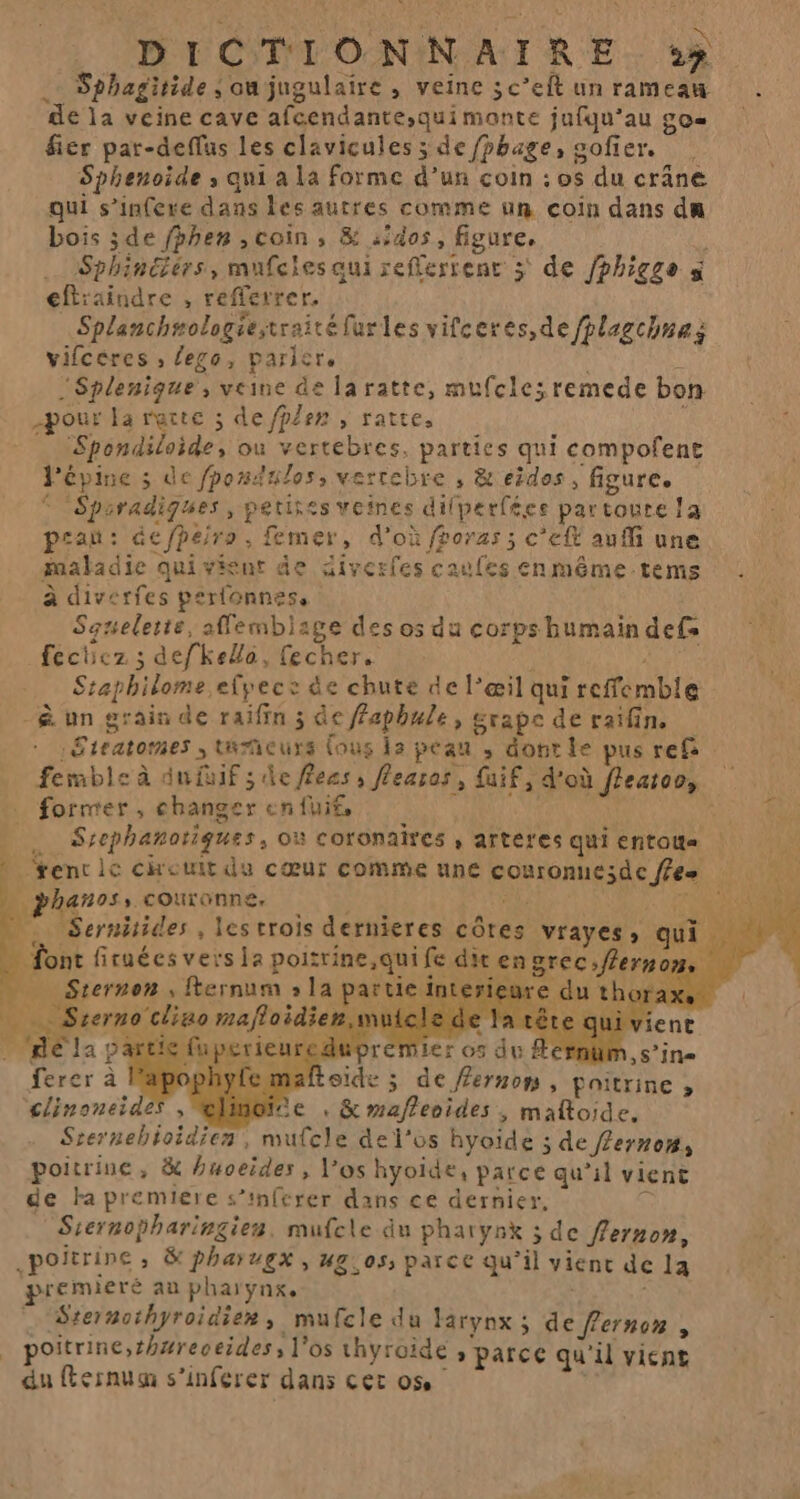 DICTIONNAIRE »» Sphagitide ; ou jugulaire , veine 5 c’eft un rameaw de la veine cave afcendante,quimonte jufqu’au go fier par-deffus les clavicules ; de fphage, sofier. Sphenoide , qui a la forme d’un coin : os du crâne qui s’infere dans les autres comme un coin dans du bois ;de fphen , coin, &amp; :idos, figure, … Sphinéiérs, mufcies qui refferrent &gt; de fphigge à eftraindre , refferrer. Splanchmologiestraitéfurles vifceres,de /plagchnas vifcéères , lego, parier, ù . Splenique , veine de laratte, mufcle;remede bon pour la racte ; de /plen , ratte, Spondilaide, où vertebres, parties qui compofent lépine ; de /ponaulos, verrebre , &amp; eides , figure. © Spuradigues, petises veines dilperféee partoute !a piañ: defpeiro . femer, d'où fporas ; c'eft auffi une maladie qui vient de diverfes caufes Enmême.tems | à diverfes perlonnes, Squelette, affembiage des os du corps bumain defs fecticz ; deffkea, fecher. MOTTE Staphilome elvpec: de chute de l'œil qui reffemble à un grain de raifin 3 de Faphule, grapc de raïfin. .Stratomes ; tumeurs (ous 12 peau , dotr le pus ref fermble à dif ; de fees, flearos, {aif, d'où fleatoo, former, changer enfuié, î S | Srephanotiques, où coronaïires , arteres qui entou« | fencic cheuit du cœur comme une couronnc;de /fe | phanos, couronne, 1? Ur | Sernitides, lestrois dernieres côtes vrayes, qui font firuées vers la poitrine,quife ditengrec:fermon | _ Sternon, fternum » la partieïnte e du th Srerno ciao mafloidien,mu . Héla part FAUNE A cEnüM , s’ine à | floide ; de fernom , poitrine , fe , &amp; mafleoides , maltoide. Srernebioidien, mucle de l'os hyoïde ; de fernom, poitrine, &amp; huoeïdes , l'os hyoide, parce qu’il vient de Ha premiere s’infcrer dans ce dernier. &lt; Siernopharingien, mufele du pharynk 3 de flernon, poitrine &amp; pharugx , ug.os, parce qu’il vienc de la premieré au phaïynx, “ Srernothyroidien, mufcle du Harynx; de fernon , poitrinc,thwreceides, l'os thyroide , parce qu'il vient du fernum s’inferer dans cer os