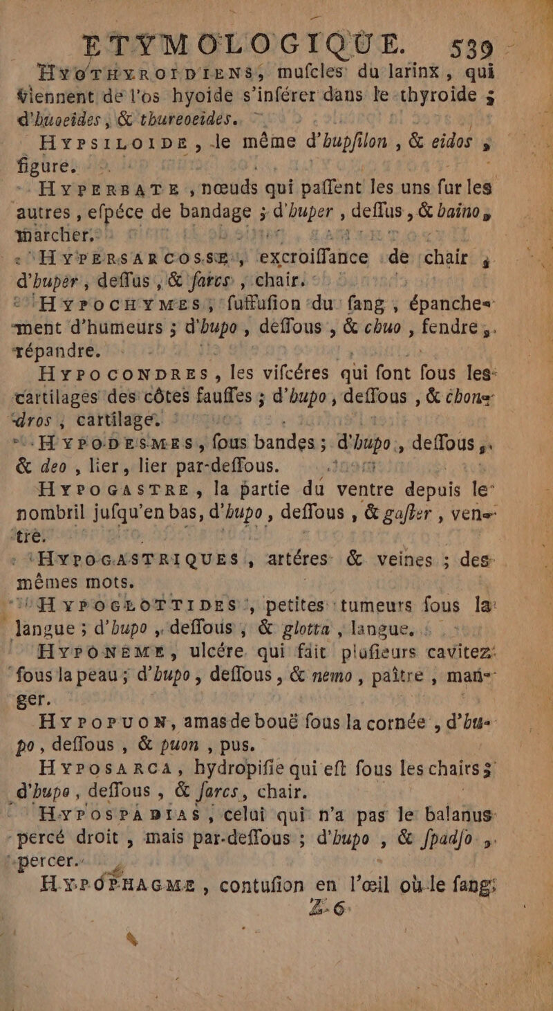 HyorHnorprENs, mufcles du larinx , qui ÿiennent de l'os hyoide s'inférer dans le thyroide 3 $ d'huoeides , &amp; tbureoeides. HyPsiLOIDE, e méme d'bupfilon , &amp; eidos  figure. HYPERBATE nœuds qui paffent ouate lei autres , efpéce de bandage ; d buper , deflus aur im marcher, HYPERSARCOSSE:, excroilfameg de chair P dur, deffus , &amp; fores , chair. HyrocuHyMes, fufufion du fang , épanche« ment d'humeurs ; d' Td , déffous , &amp; cbuo , fendre ,. répandre. HyroconDres, les vifcéres qui font [MT les: cartilages des côtes fauffes ; d'bupo , deffous , &amp; cbone: iris cartilage. - | oH YPODESMES, fous bandes ; d'inpo , deffous ;. &amp; deo , lier, lier pat-deffous. 094 Hy?oGASTRE, la partie du Ventre depuis le: nombril jufqu'en bas, d’ Dr deffous j &amp; gafier , Vele- tre. ; HrOoASTRIQUES 3 artéres &amp; veines ; des mêmes mots. ^ Hy?POGLOTTIDES', petites tumeurs fous la: Bé ; d'bupo , deffous ; &amp; glotta , langue, 5. Hy»PoóNEME, ulcére qui fait plüfieurs cavitez: fous la peau; d'bupo , deffous , &amp; nemo , paître , mari ger. | HyroPuon, amasde bouë fous la cornée , d'bu« po, deffous , &amp; puon , pus. HY?0SsARCA, hydropifie qui eft fous les chairs 3 _d'hupe , deffous , &amp; Jarcs, chair. HyrosPADIAS, celui qui n'a pas le balanus- “percé droit , mais par-deflous ; d'bupo , &amp; fpadfo ,. percer, HYPOPHAGME, contufion en l'œil ou le fang; Z-6 e^ M &amp;