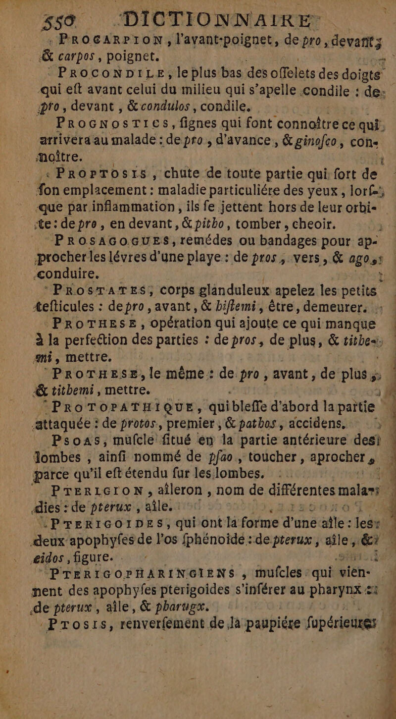 559 $ ‘DICTION NA IRE ,PROocAnRPION,lavant-poignet, de pro, devants PRocomNDILE,leplus bas des offelets des doigts pro, devant , &amp;condulos , condile. PROGNOSTICS, fiénes qui font connoître ce qui. arrivera au malade : de pro , d'avance , &amp; ginofco , con- . PROPTOSIS, chute de toute partie qui: fort de fon emplacement : maladie particuliére des yeux, lorf-; que par inflammation , ils fe jettent hors de leur orbi- ite: depre, en devant, &amp; pitbo, tomber, cheoir. PROSAGOGUES,remédes ou bandages pour ap- PRosTATES; corps glanduleux apelez les petits &amp;efticules : depro , avant , &amp; bifiemi, être, demeurer. :; PROTHESE, opétation qui ajoute ce qui manque à la perfection des parties : de pros, de plus, &amp; titbes; ani, mettre. PROoTHESE,le même: de pro, avant, de plus; à &amp; titbemi , House. :PROTOPATHIQUE, qui blefe d'abord la paie | attaquée : de protos, premier , &amp; patbos, dccidens, | Psoas, mufcle fitué en la partie antérieure desi Jombes , ainfi nommé de pfao , toucher, nprachet  parce qu'il eft étendu far les lombes. dies : de pterux , ale. | -PTERIGOIDES, qui ont la forme d'une alle: les: ! «idos , figure... + Hid PTERIGOPHARINGIENS , mufcles qui wiêh nent des apophyfes pterigoides s'inférer au pharynx 2: de pterux , aile, &amp; pharugx.