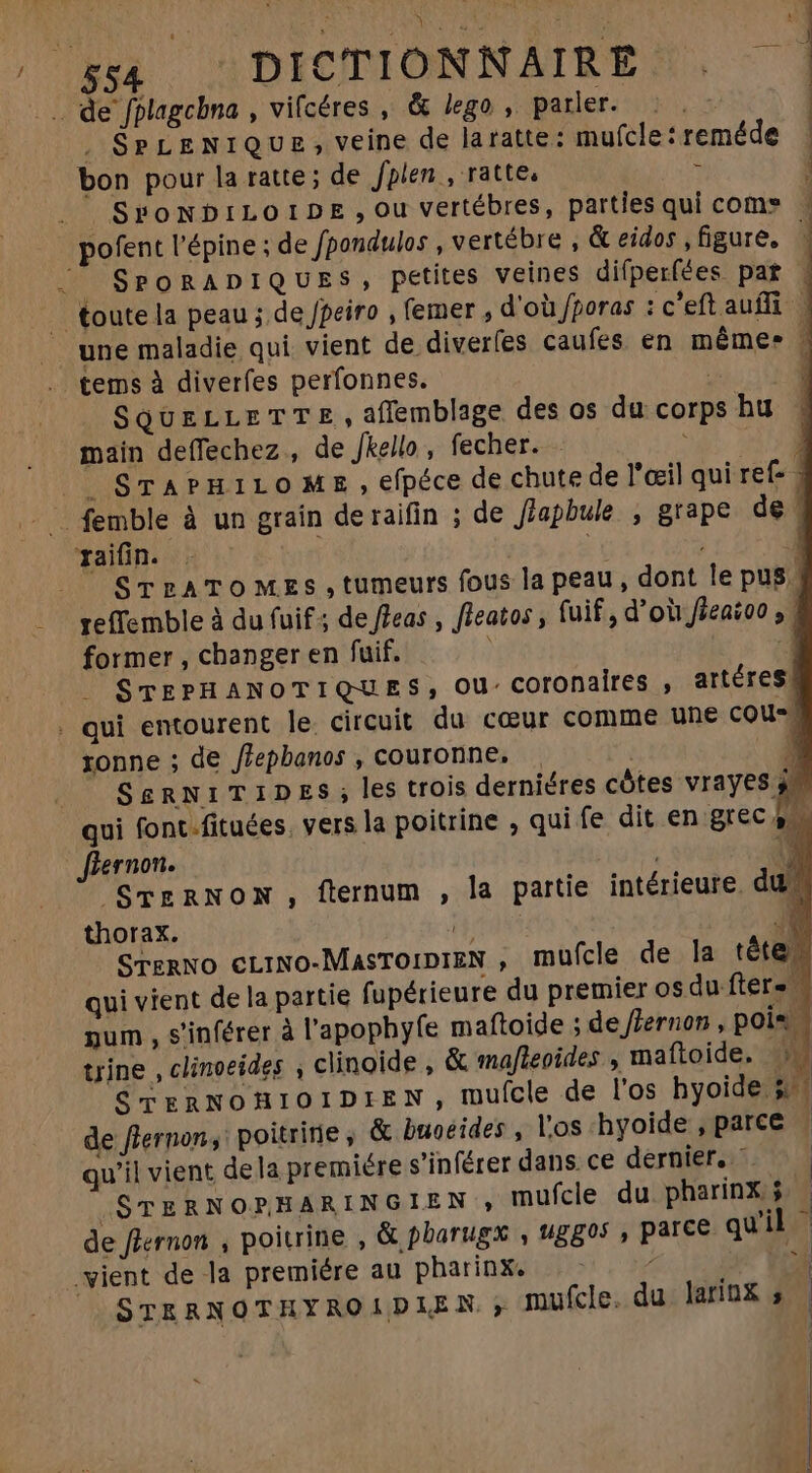 de fplagcbna , vifcéres , &amp; lego , parler. : .- | SPLENIQUE, veine de laratte: mufcle: reméde | | | bon pour la ratte; de fplen , ratte, /, SgONDILOIDE,Ou vertébres, parties qui com» pofent l'épine ; de fpondulos , vertébre , &amp; eidos figure. | ^ SPORADIQUES, petites veines difperfées pat | foute la peau ; de fpeiro , femer , d'où fporas : c'eft auffi | une maladie qui vient de diverfes caufes en méme. | tems à diverfes perfonnes. ' à SQUELLETTE , affemblage des os du corps hu main deffechez , de Jkello, fecher. - x. IT | STAPHILOME , efpéce de chute de l'œil qui ref _ femble à un grain deraifin ; de Jéapbule , grape de! raifin. T | STrATOMES, tumeurs fous la peau, dont le pus reffemble à du fuif ; de ffeas , fieatos, fuif, d’où jéeaioo, former , changer en fuif. |J STEPHANOTIQUES, OU coronaires , artéres! . qui entourent le. circuit du cœur comme une cou ronne ; de /Zepbanos , couronne. | | SERNITIDES; les trois derniéres côtes vrayes qui fonc. fituées, vers la poitrine , qui fe dit en grec 4. fiernon. 1 ^)STERNON , flernum , la partie intérieure. du thorax. H 4i Srerno €LINo-MasTOIDIEN , mufcle de la téte qui vient de la partie fupérieure du premier os du. fter. num , s'inférer à l'apophyfe maftoide ; de flernon , pois trine , clinoeides ; clinoide , &amp; mafleoides y maftoide. 0! CTERNOHIOIDIEN, mufcle de l'os hyoide si de flernon, poitrine , &amp; buoeides , l'os hyoide , parce. qu'il vient dela premiére s’inférer dans ce dernier, - | .STERNOPHARINGIEN , mufcle du pharinx $ de flernon , poitrine , &amp; pbarugx , uggos , parce quil vient de la premiére au pharinx. — ^  | STRRNOTHYROIDIEN ; mufcle. du larinx ;