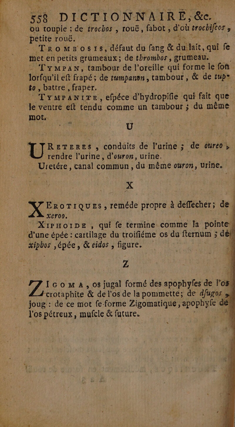 RL. prié &gt; he | RS 1 ou toupie ; de £rocbos , rouë, fabot , d'où 3OENTOR TRoMzosrts,défaut du fang &amp; du dat, qui fe met en petits grumeaux; de tbrombos , grumeau. 'l'vy MPAN, tambour de l'oreille qui forme le fon £0, battre , fraper. TYMPANITE, efpéce d'hydropifie qui fait que le ventre eft teda comme un tambour ; du EIUS mot. Ü RETERES , condüits de l'urine ; de oureo ;, rendre l'urine, d’ouron, urine. . Uretére , canal commun, du méme ouron , urine. X X Eso TIQUES , reméde propre à deffecher; oe Xeroo. XIPHOIDE , qui fe termine: se Ja polntel d'une épée: cartilage du troifiéme os du fternum ; ; défl suut épée, &amp;eidos, figure. | 2! | a 'IconMA, os jugal formé des apophyfes de Tos. crotaphite &amp; del'osde la pommette; de dfugos y. joug : de ce mot fe forme Zigomatique, apophyfe dé Y 0$ ; perreur, mufcle &amp; future. ^ ^