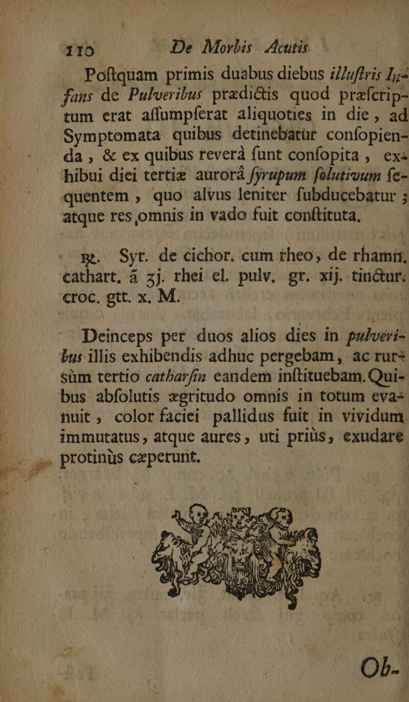  I 115 ^ De Morbis. Acutis Poftquam primis duabus diebus z/jffris Z- tum erat affumpferat aliquoties in die, ad Symptomata quibus detinebatür confopien- hibui diei tertie aurorá fyrupum folutivum fe- quentem , quo alvus leniter fubducebatur ; atque res omnis in vado fuit conftituta, B. Syt. de cichor. cum theo, de rhamir, cathart, à zj. rhei el. pulv. gt. xij. tin&amp;ur; croc, gtt. x. M. EE Deinceps per. duos alios dies in palveri- Lus illis exhibendis adhuc pergebam, ac rur* süm tertio catbar/iu eandem inftituebam. Qui- bus abfolutis zgritudo omnis in totum eva« nuit, color faciei pallidus fuit in vividum. immutatus, atque aures, uti priüs, exudare