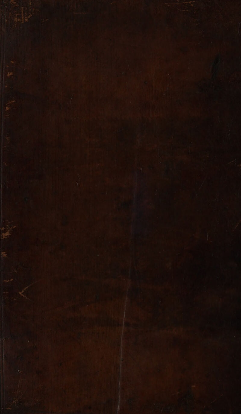 «X Tw P | » d D LI 3 -—